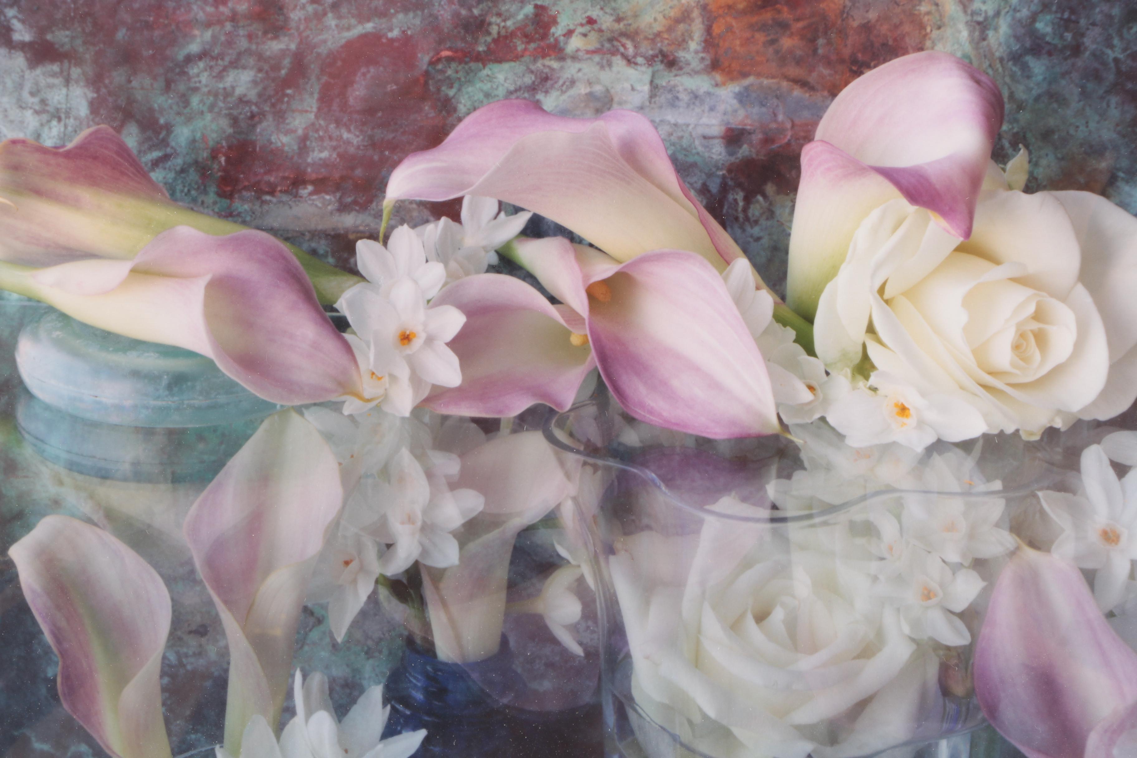 Randy Dana Limited Edition Digital Still Life Photographs