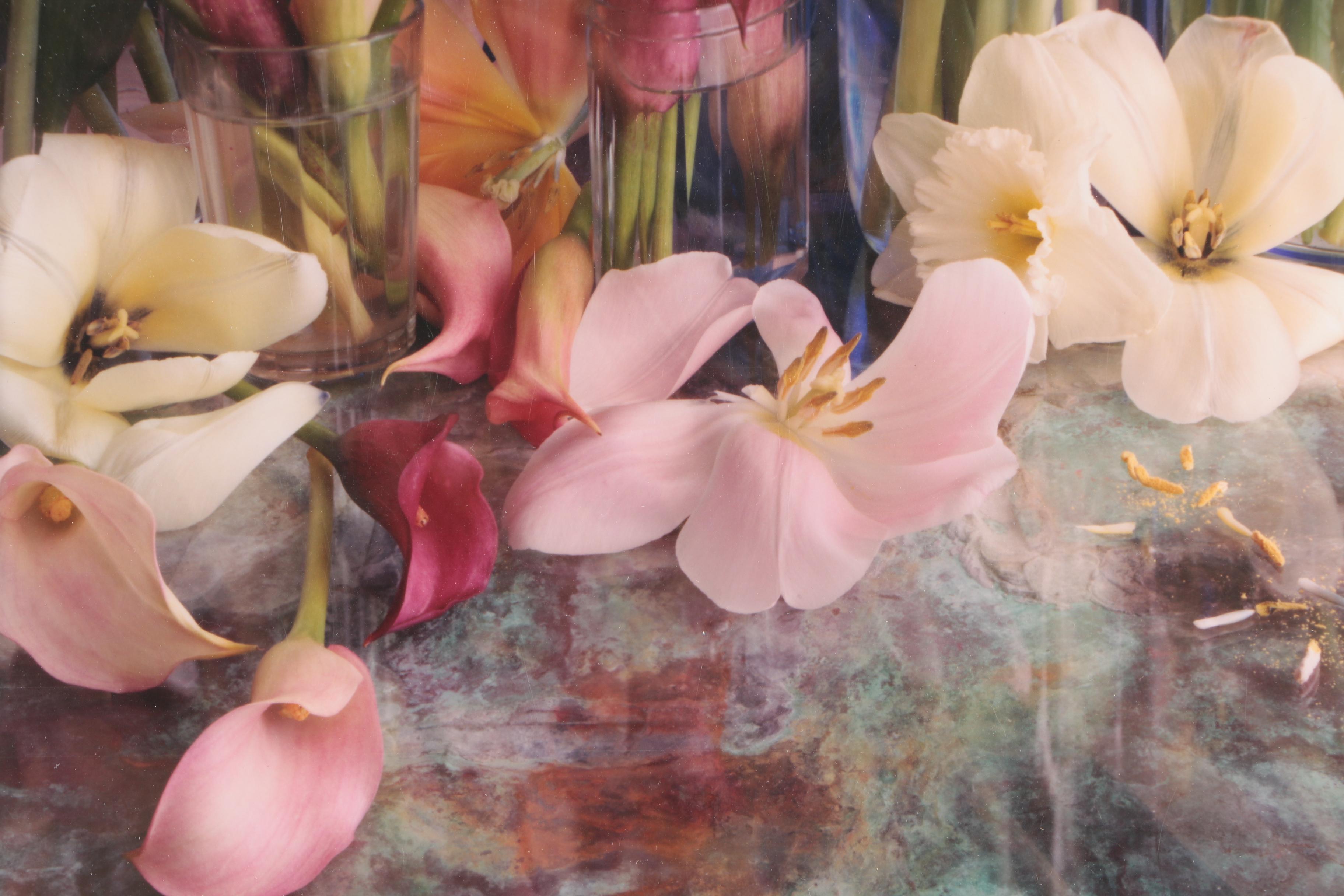Randy Dana Limited Edition Digital Still Life Photographs