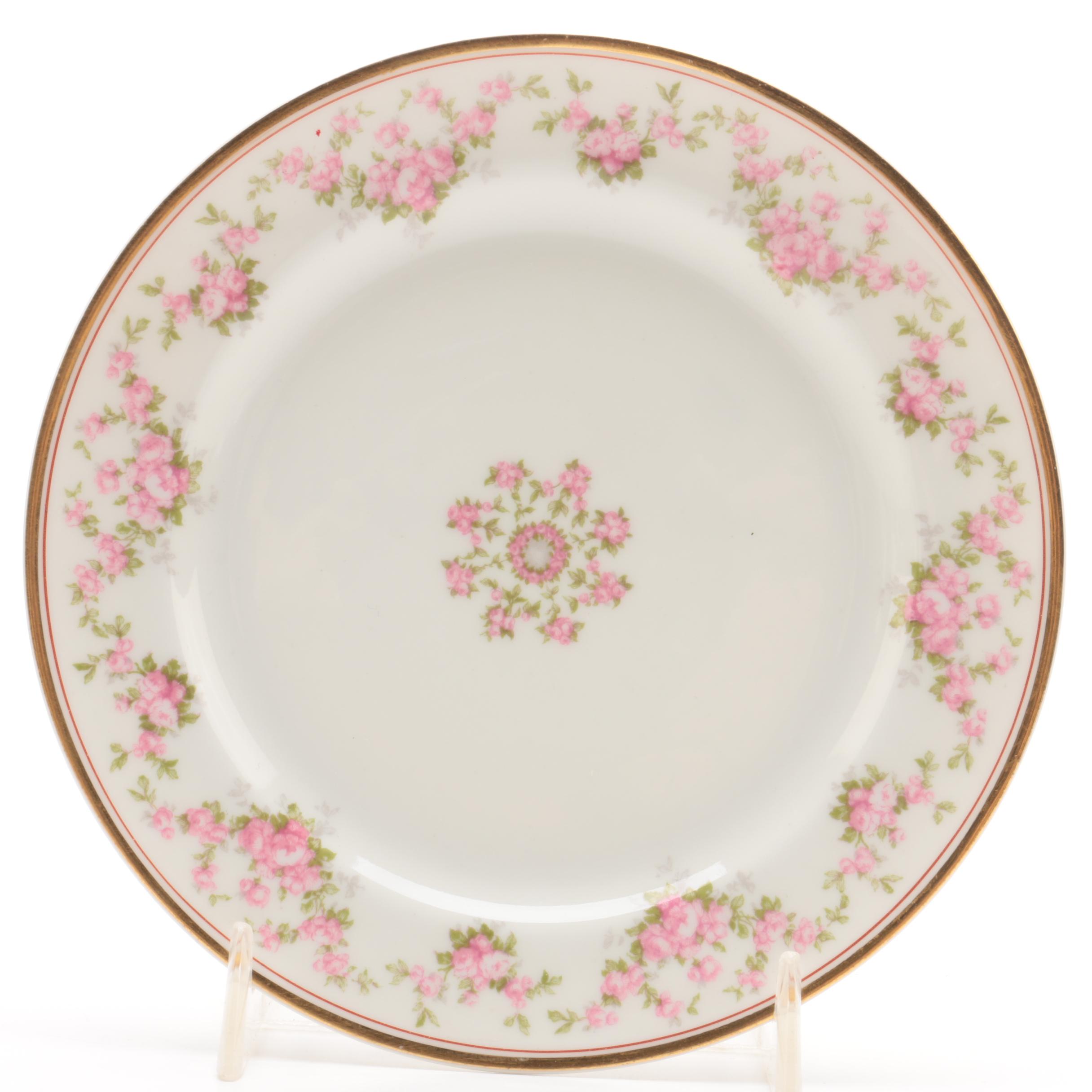 Vintage Haviland Porcelain Plates for Wright, Tyndale & Van Roden ca. 1900-31