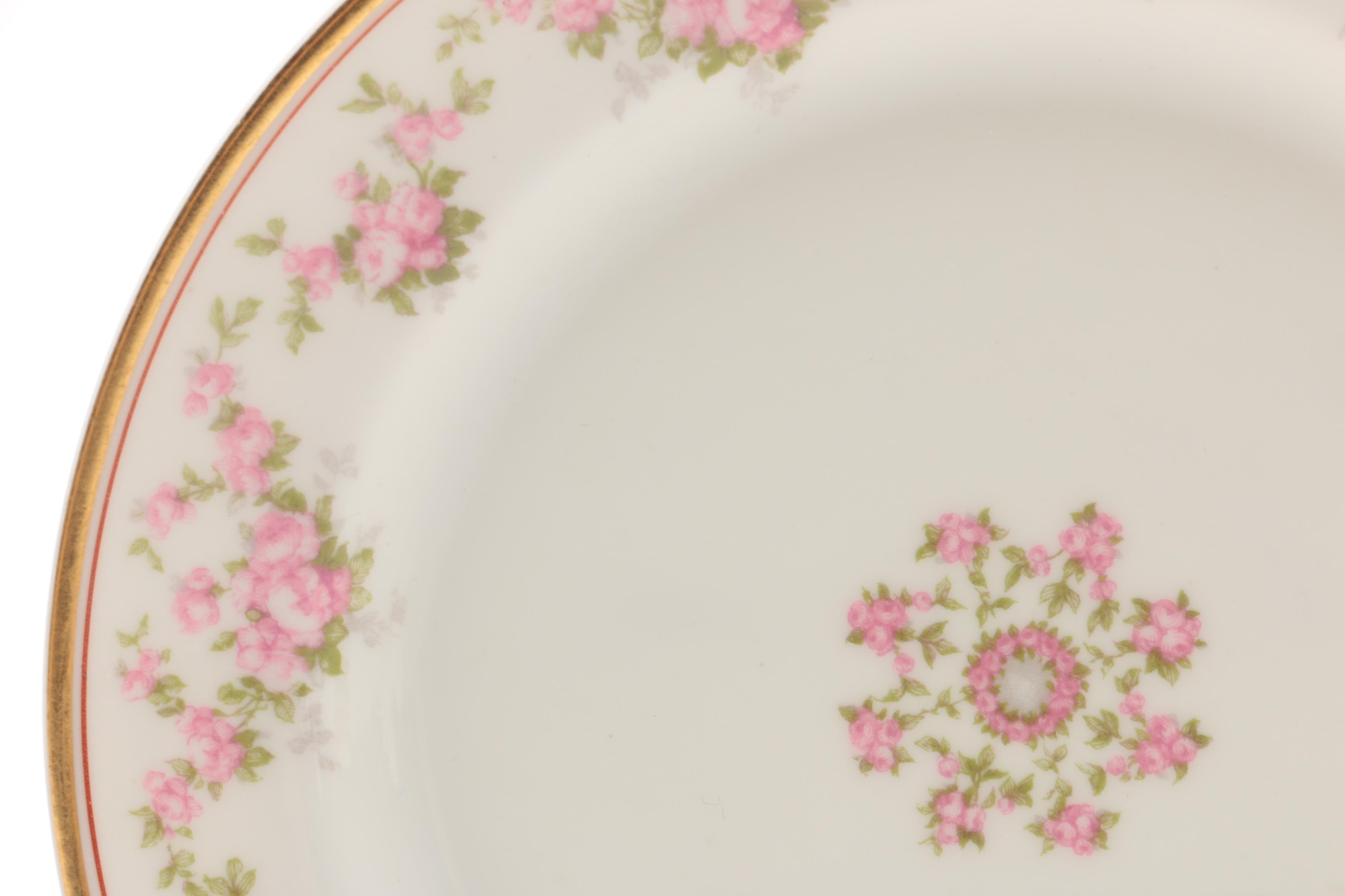 Vintage Haviland Porcelain Plates for Wright, Tyndale & Van Roden ca. 1900-31