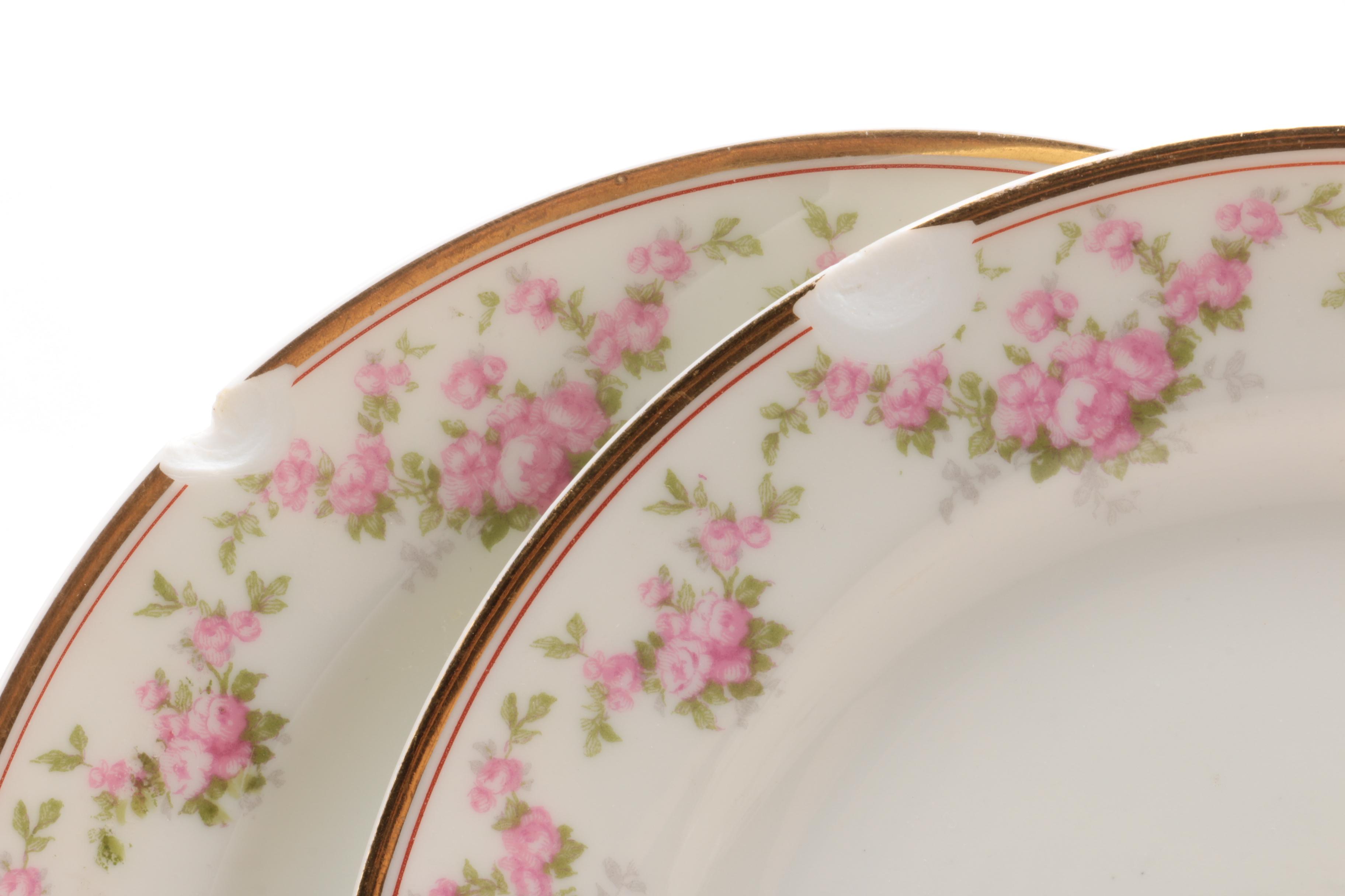 Vintage Haviland Porcelain Plates for Wright, Tyndale & Van Roden ca. 1900-31