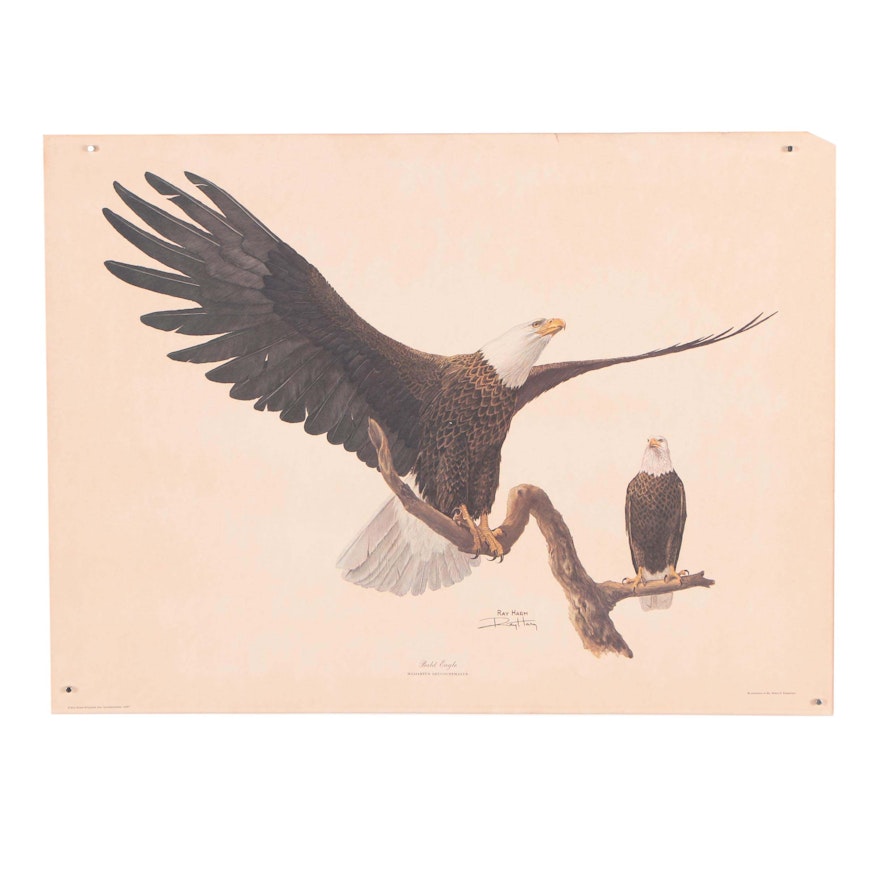 Ray Harm Offset Lithograph Print "Bald Eagle"