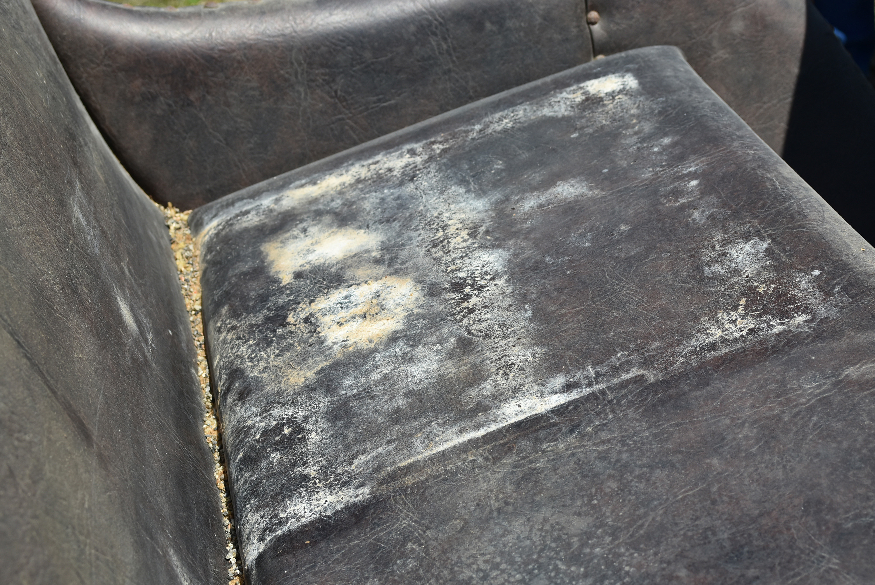 Antique Horse-Drawn Two-Seater Open Sleigh