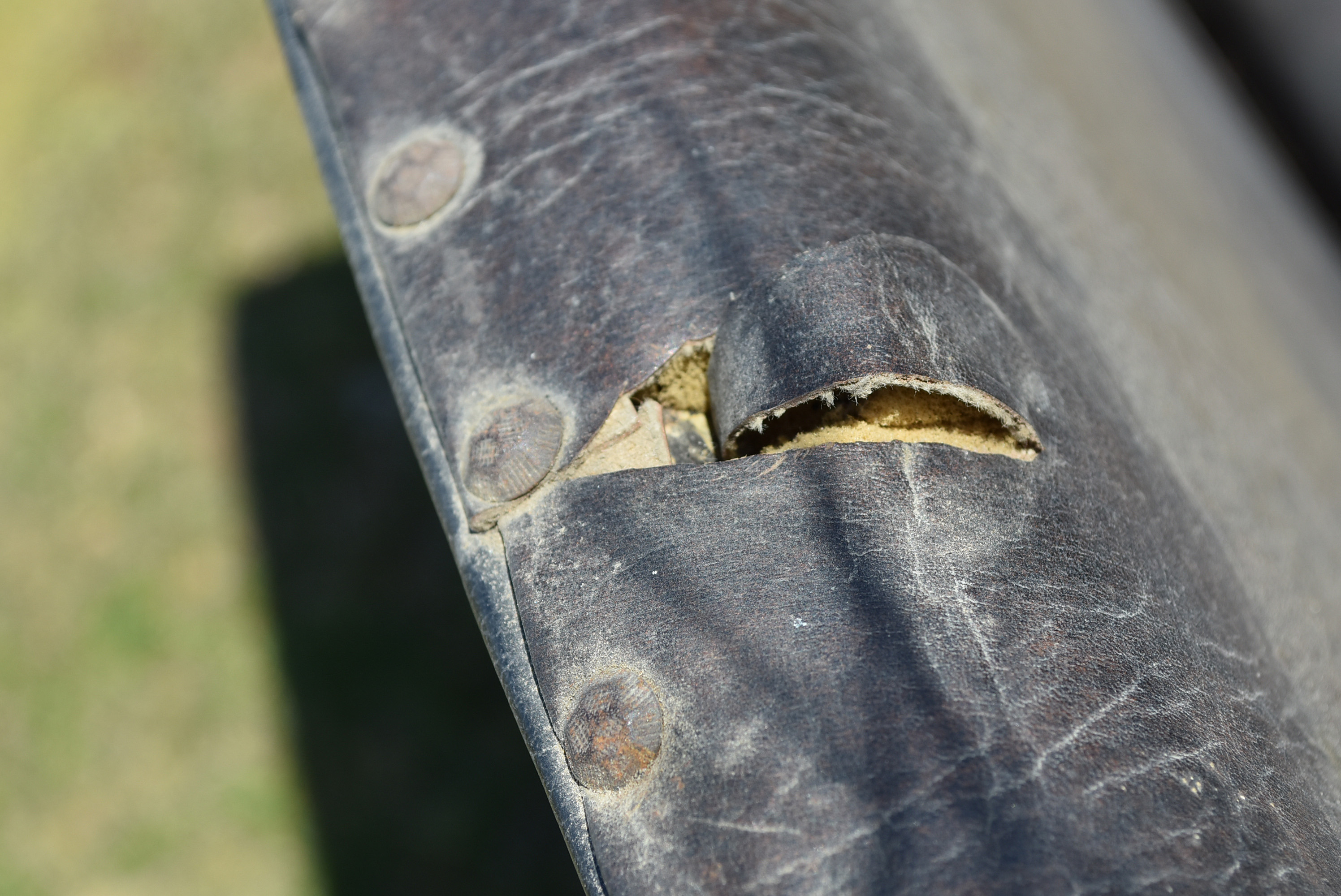 Antique Horse-Drawn Two-Seater Open Sleigh