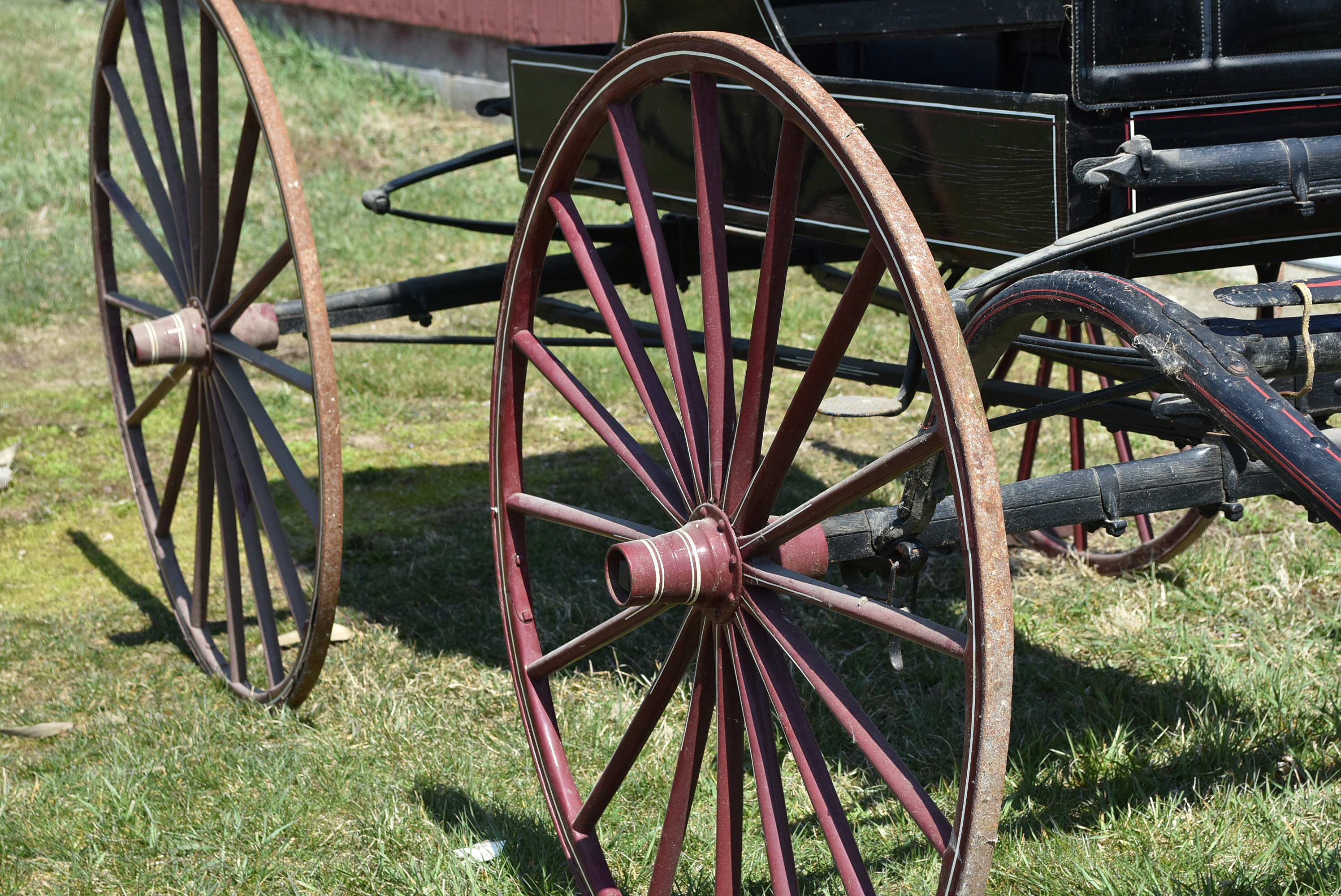 Antique Horse-Drawn Runabout Buggy by Peters Buggy Co. of Columbus, Ohio