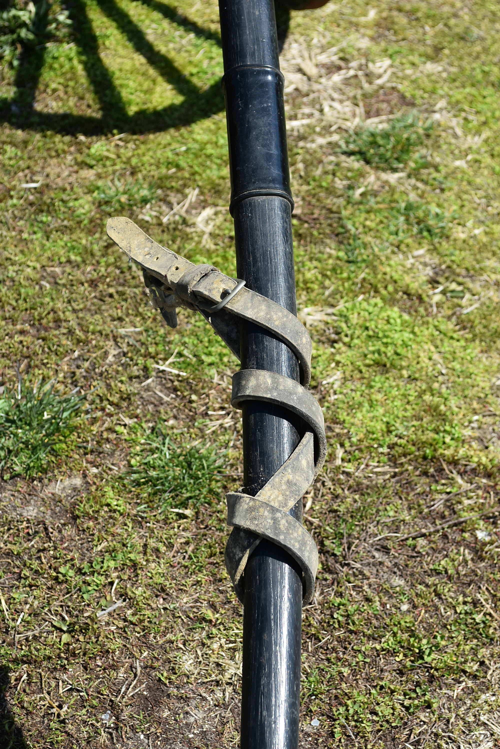 Antique Horse-Drawn Two-Seater Buggy with Dietz Lanterns