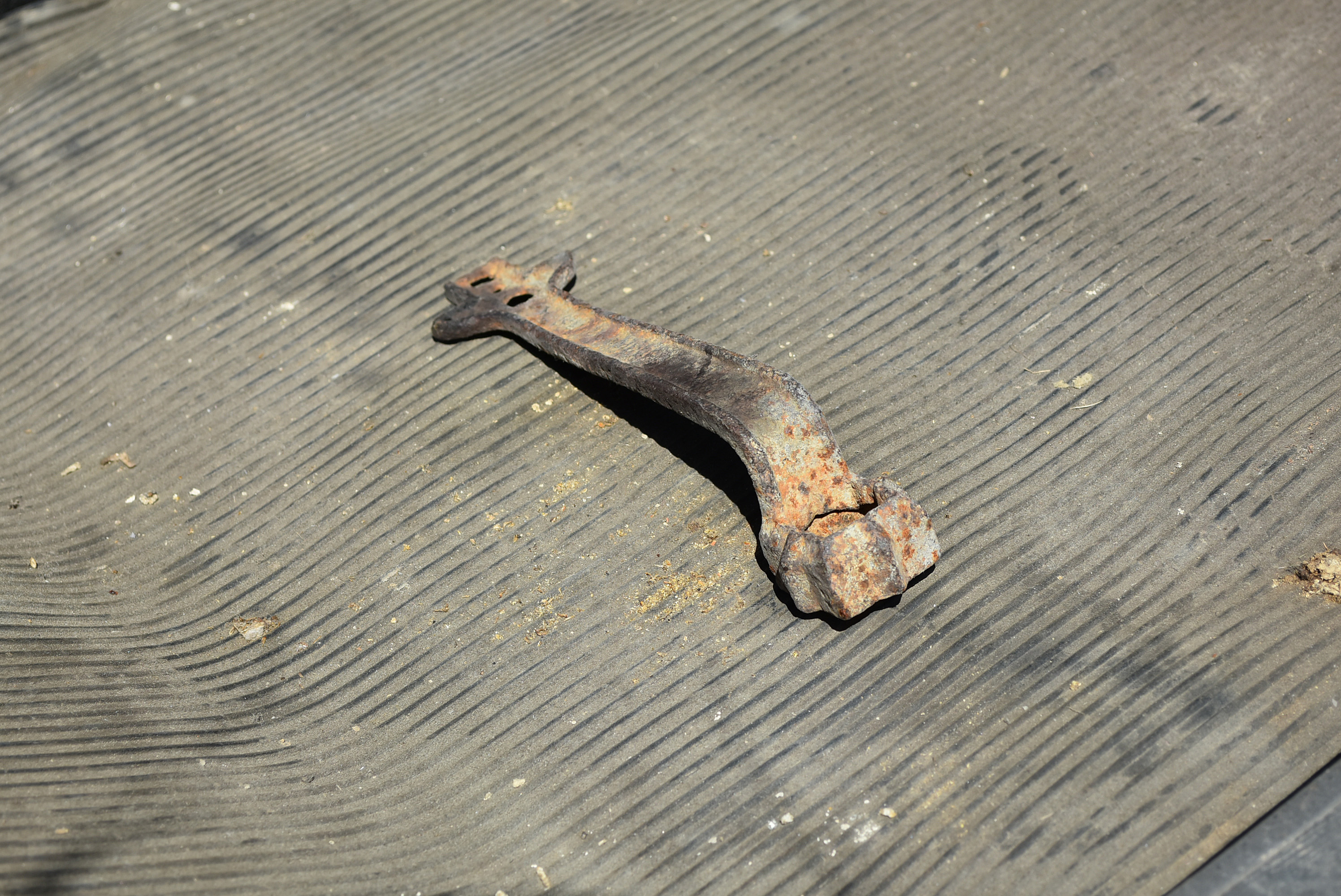 Antique Horse-Drawn Two-Seater Buggy with Dietz Lanterns