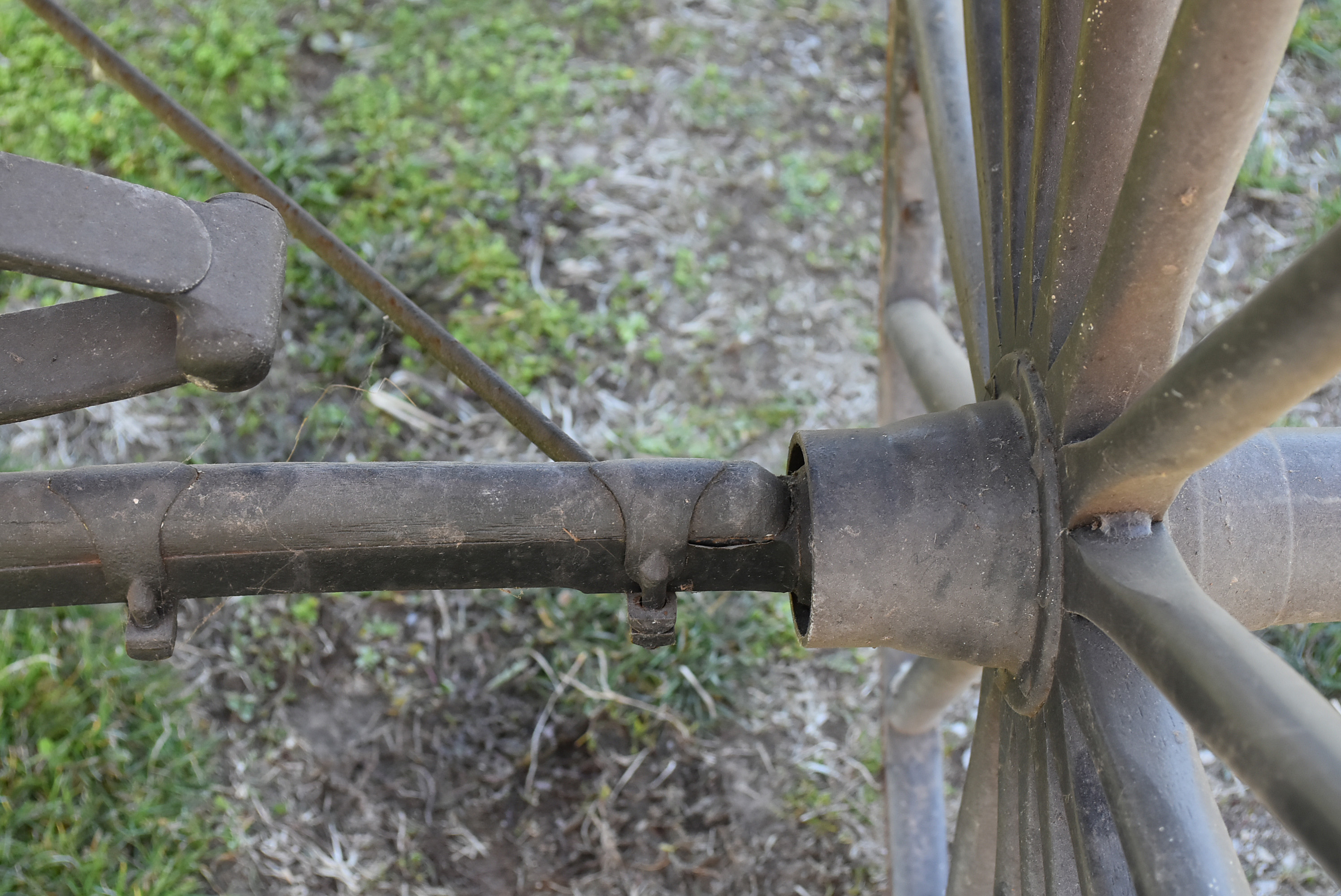 Antique Horse-Drawn Two-Seater Buggy with Dietz Lanterns
