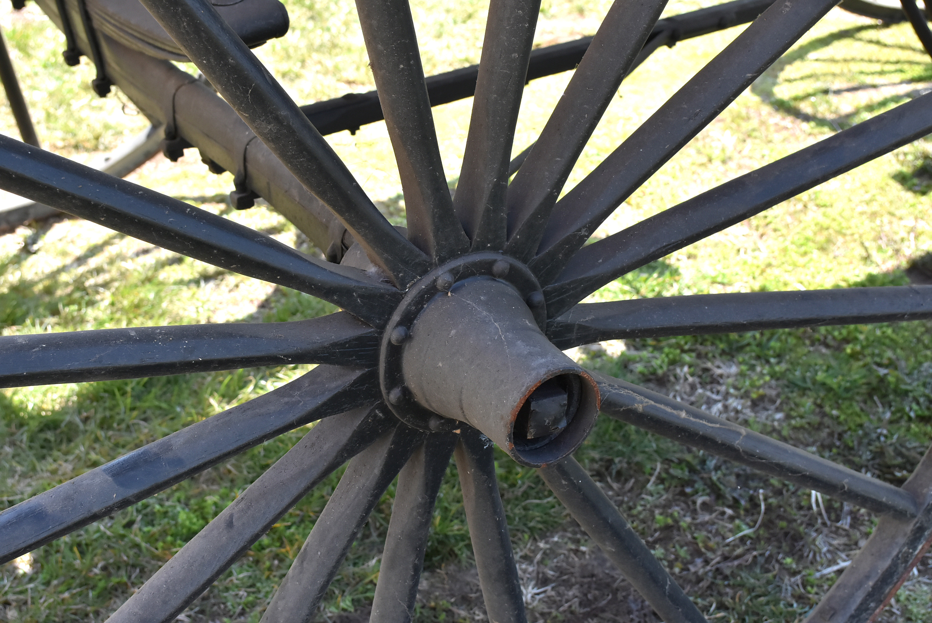 Antique Horse-Drawn Two-Seater Buggy with Dietz Lanterns