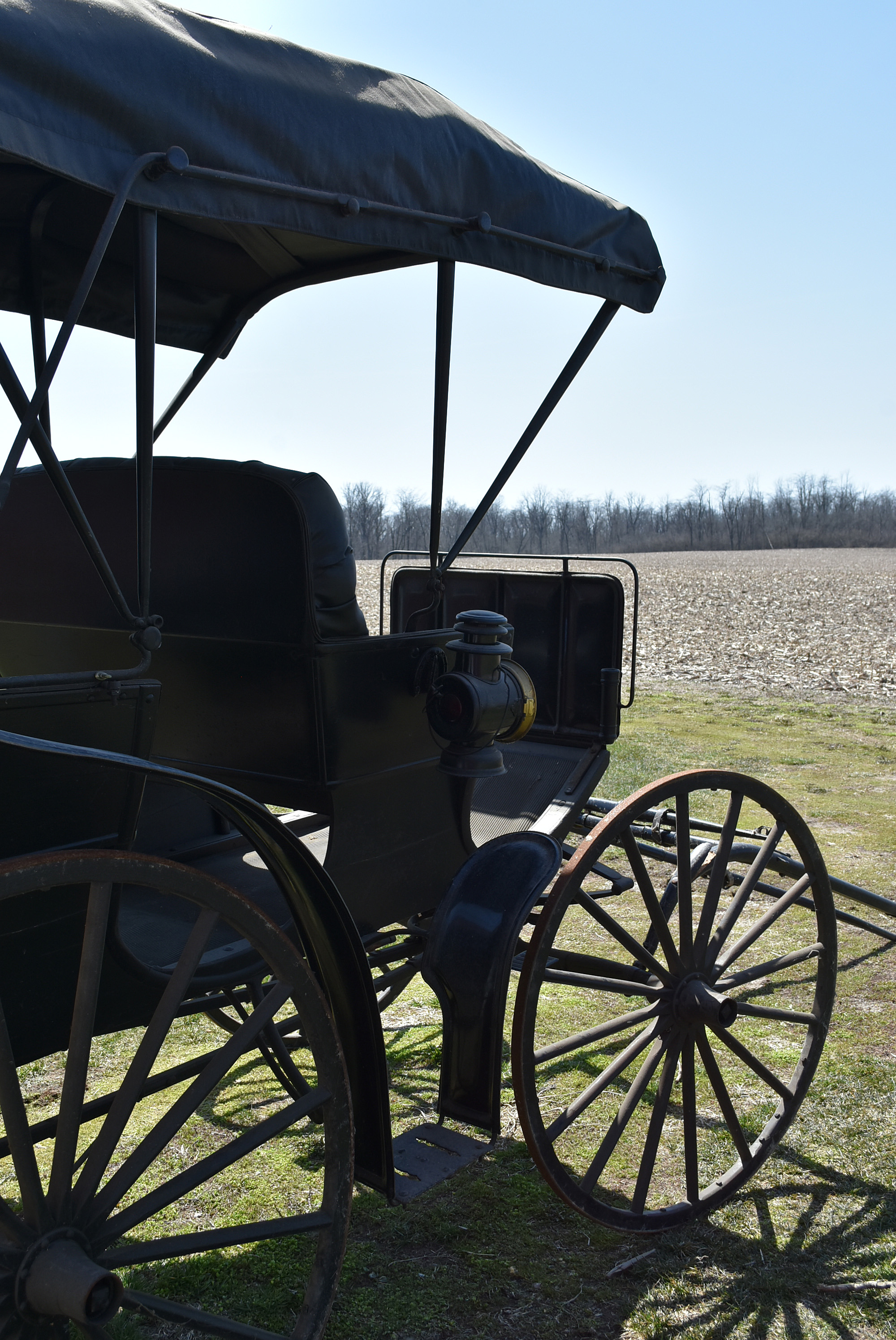 Antique Horse-Drawn Two-Seater Buggy with Dietz Lanterns