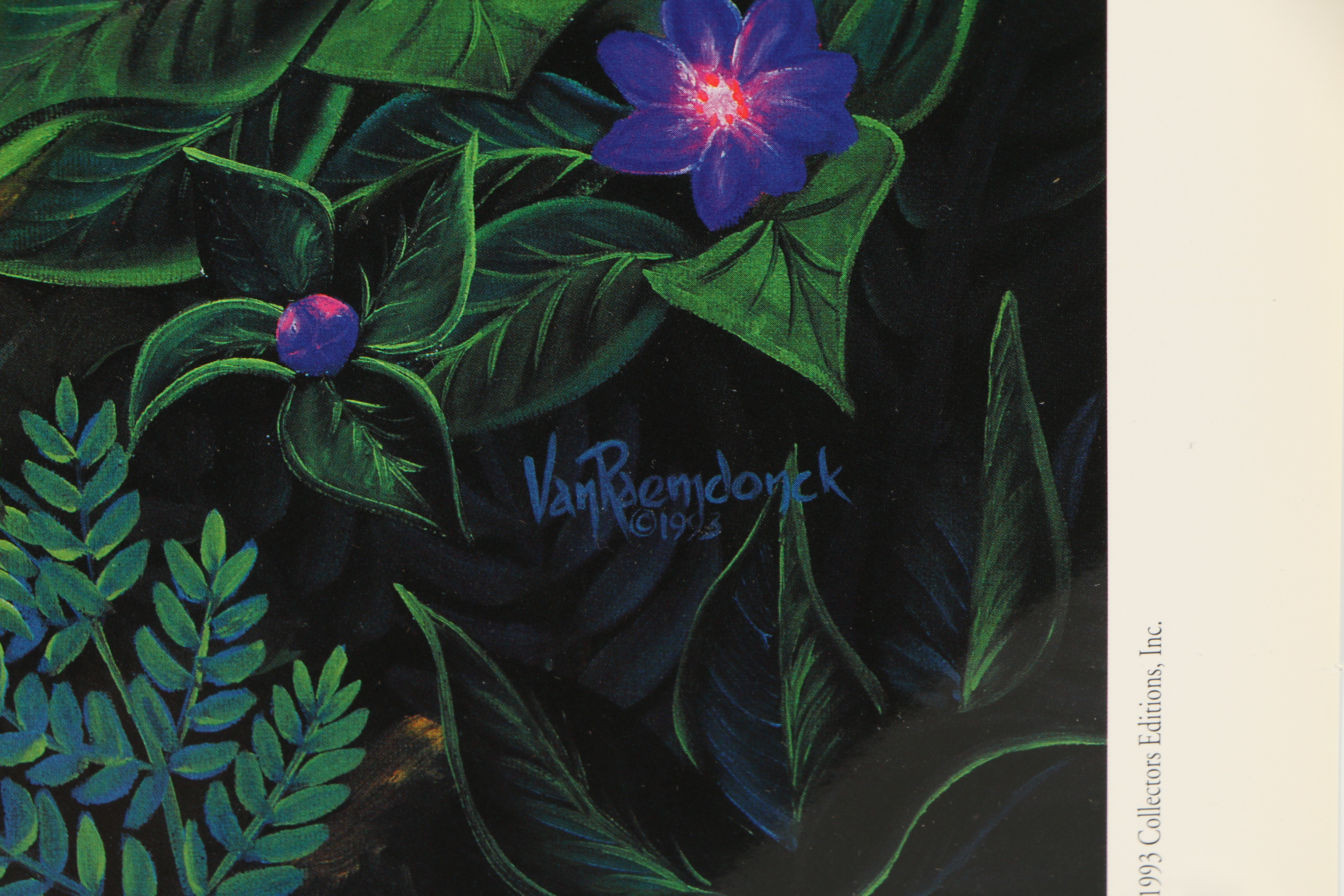 Offset Lithograph After Eric Van Raemdonck "Living Legends"