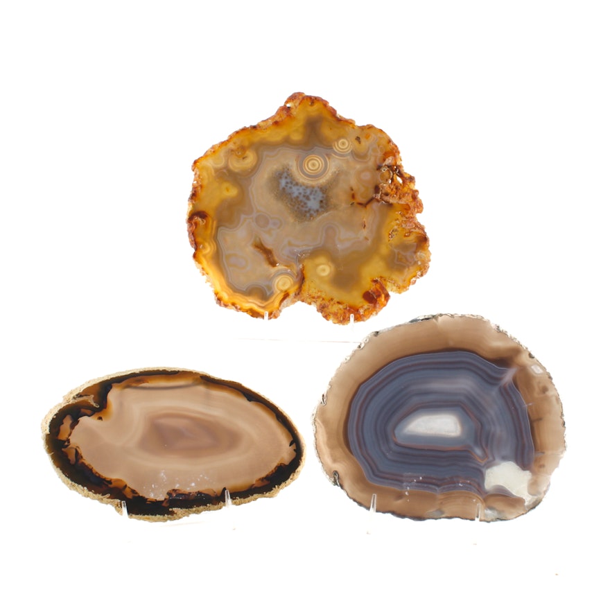 Collection of Three Agate and Quartz Geode Cross-Sections