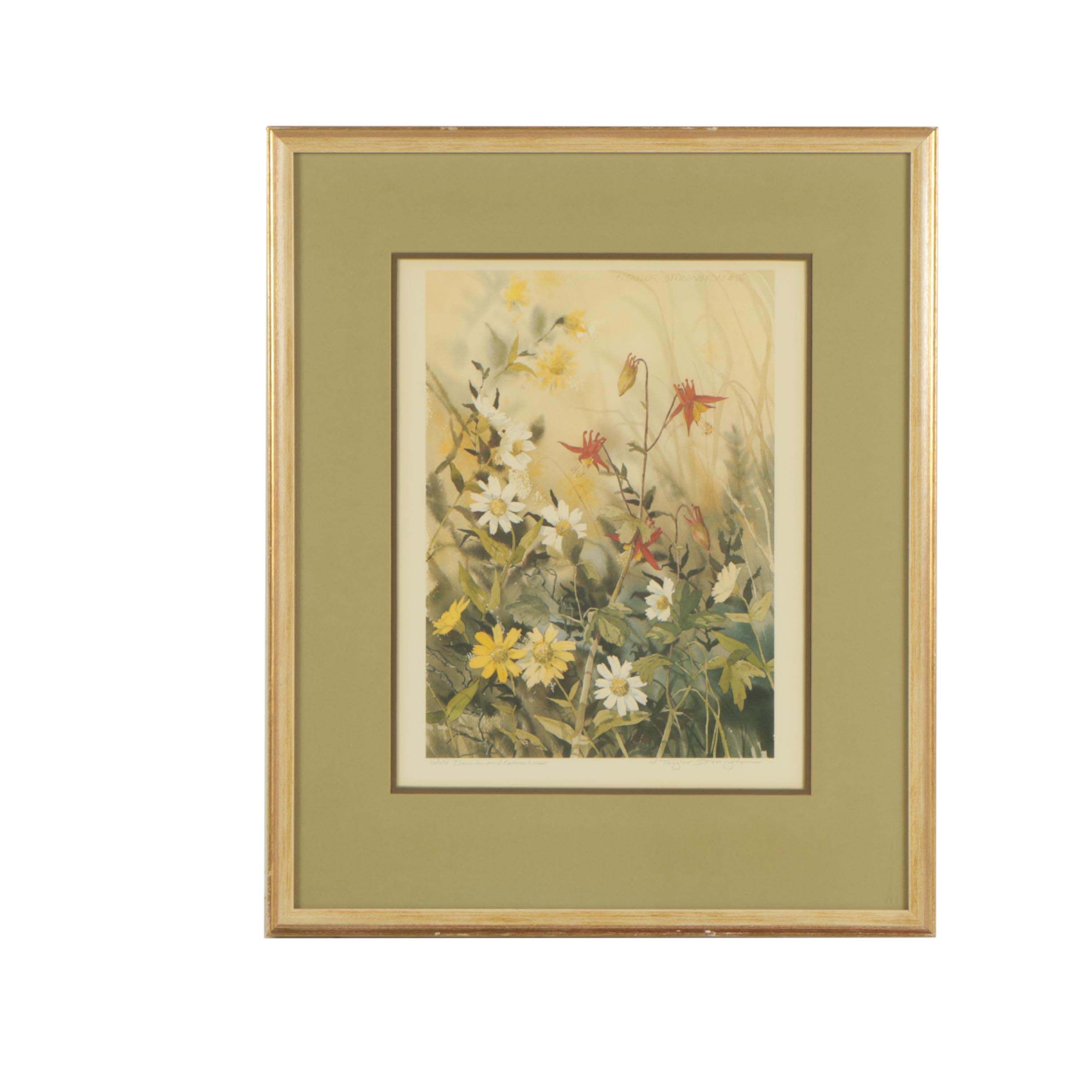N. Taylor Stonington Offset Lithograph Print "Wild Daisies And Columbine"