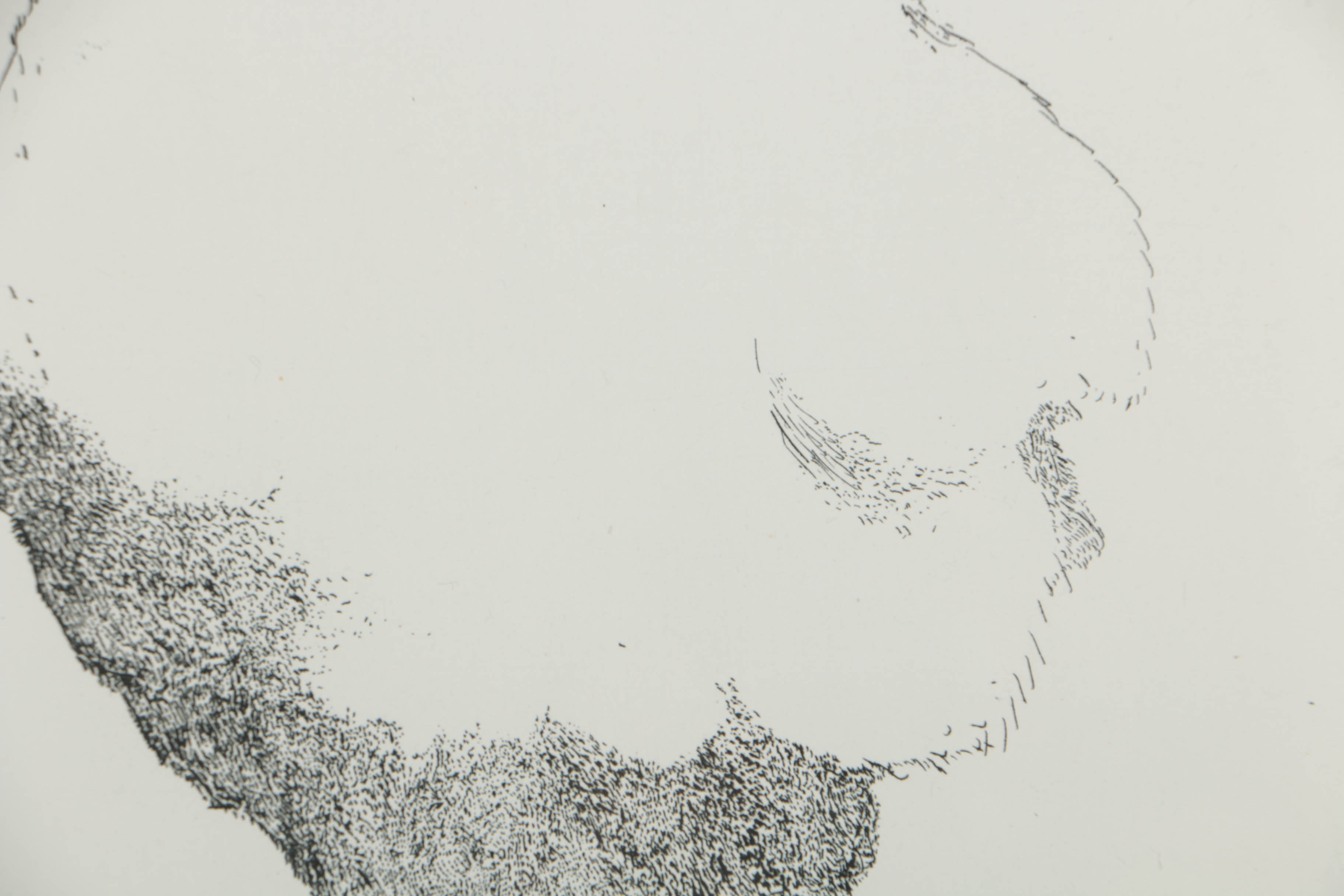 Leonard Baskin 1966 Limited Edition Etching "Standing Bird"