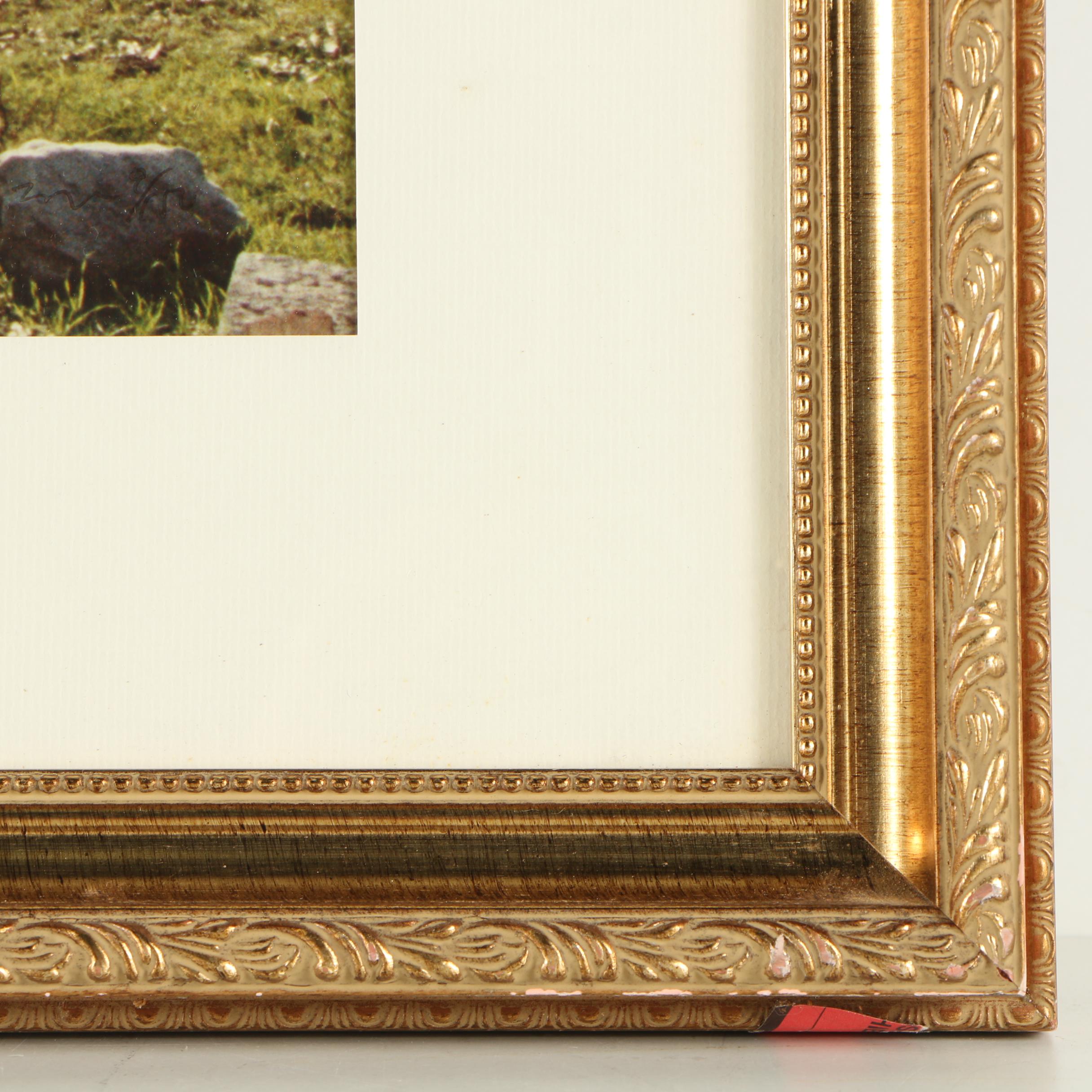 Chromogenic Color Photograph of the Roman Forum