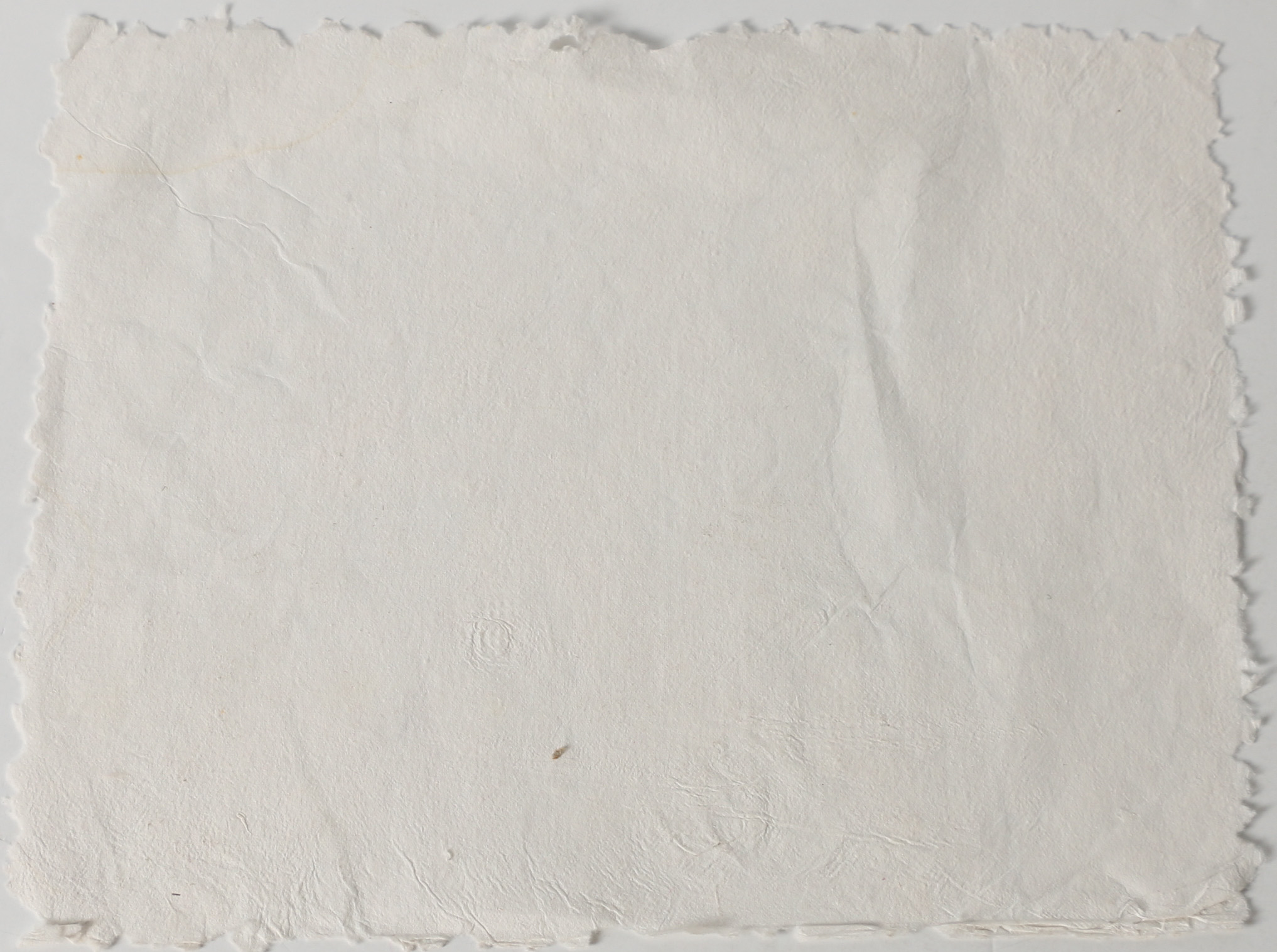 Ruth Rolfsen Pressed Paper Compositions