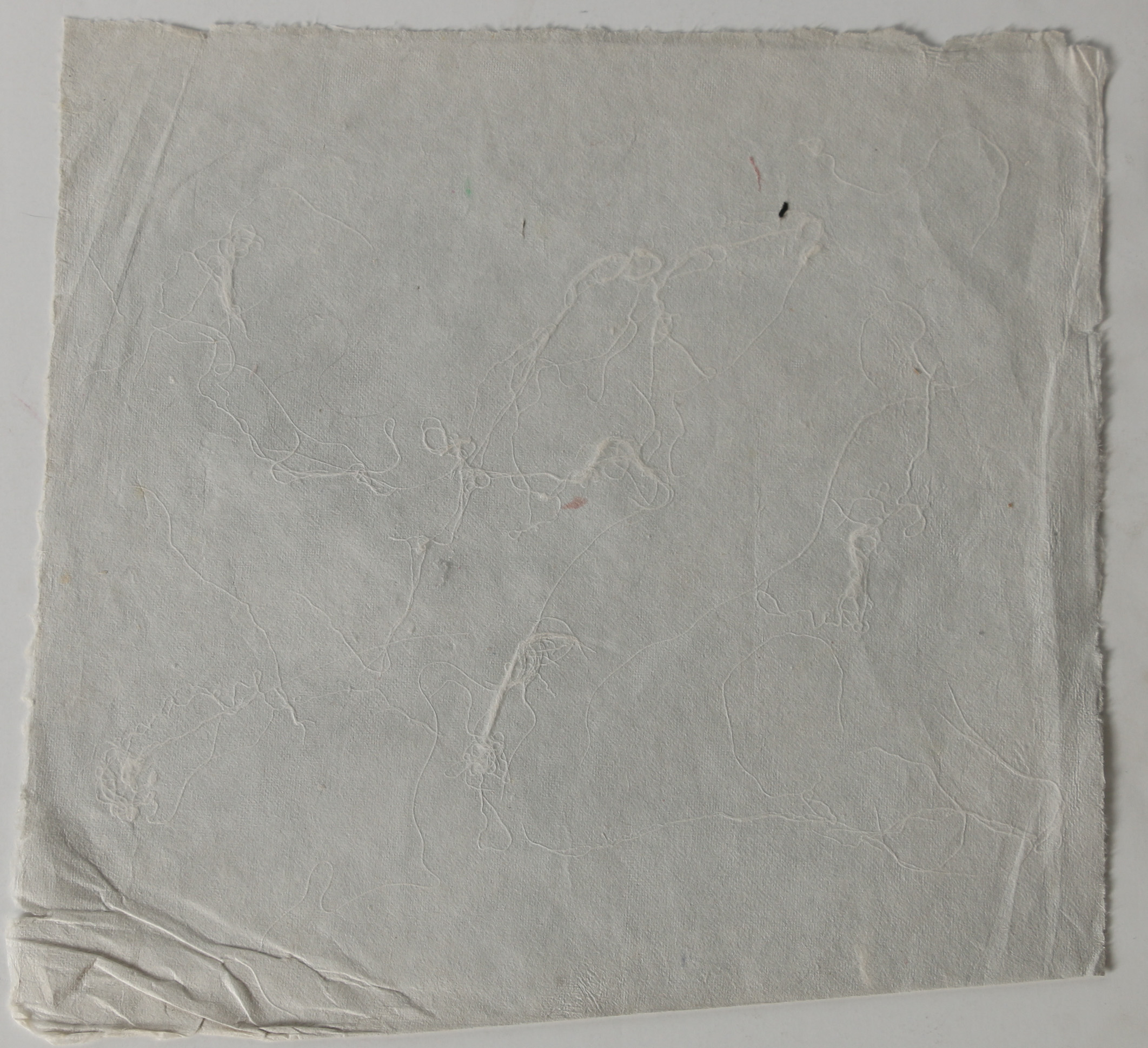 Ruth Rolfsen Pressed Paper Compositions