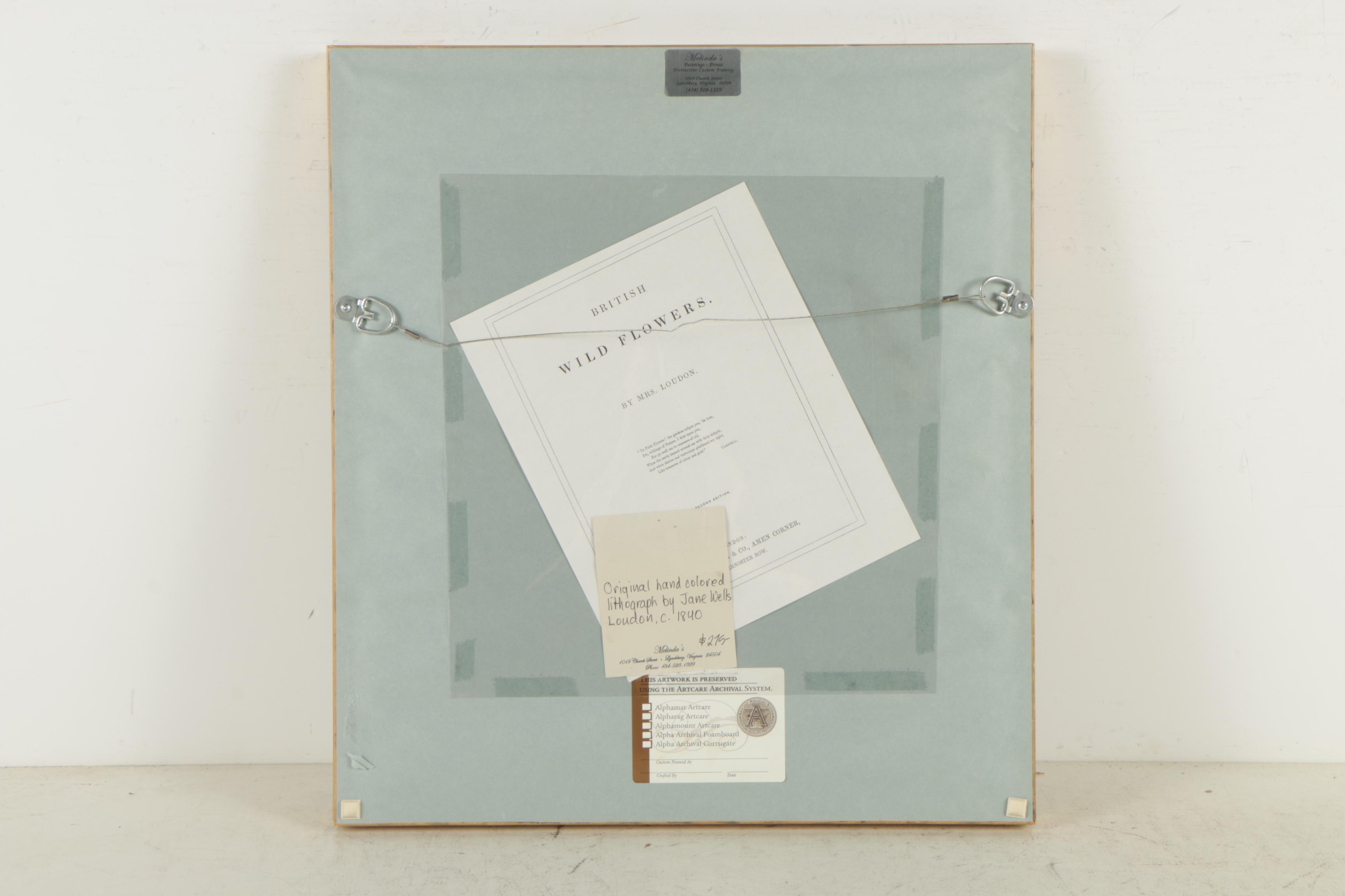 Hand-Colored Botanical Lithograph After Jane Webb Loudon