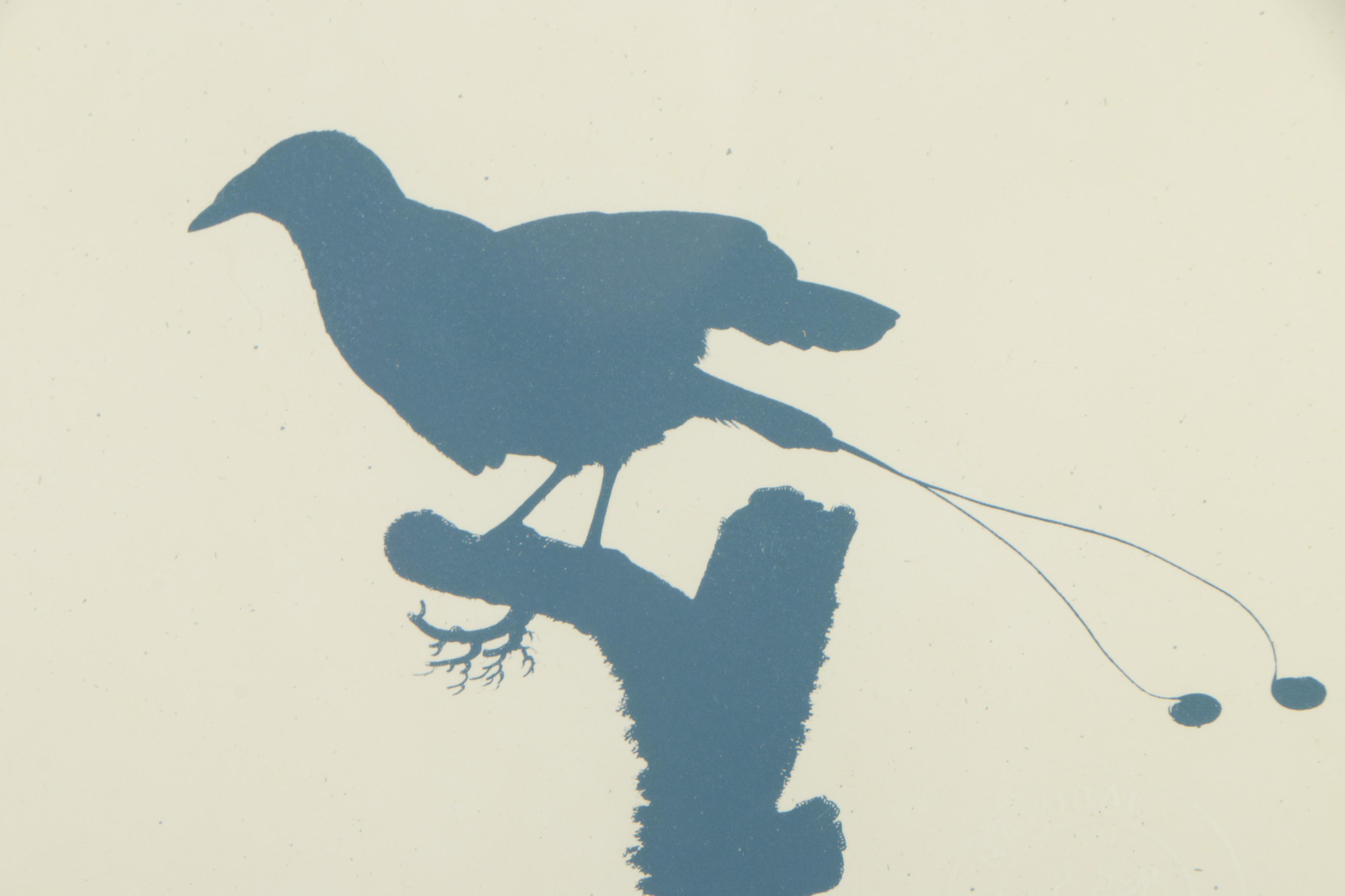 Natural Curiosities Lithographs "Westerley Birds"