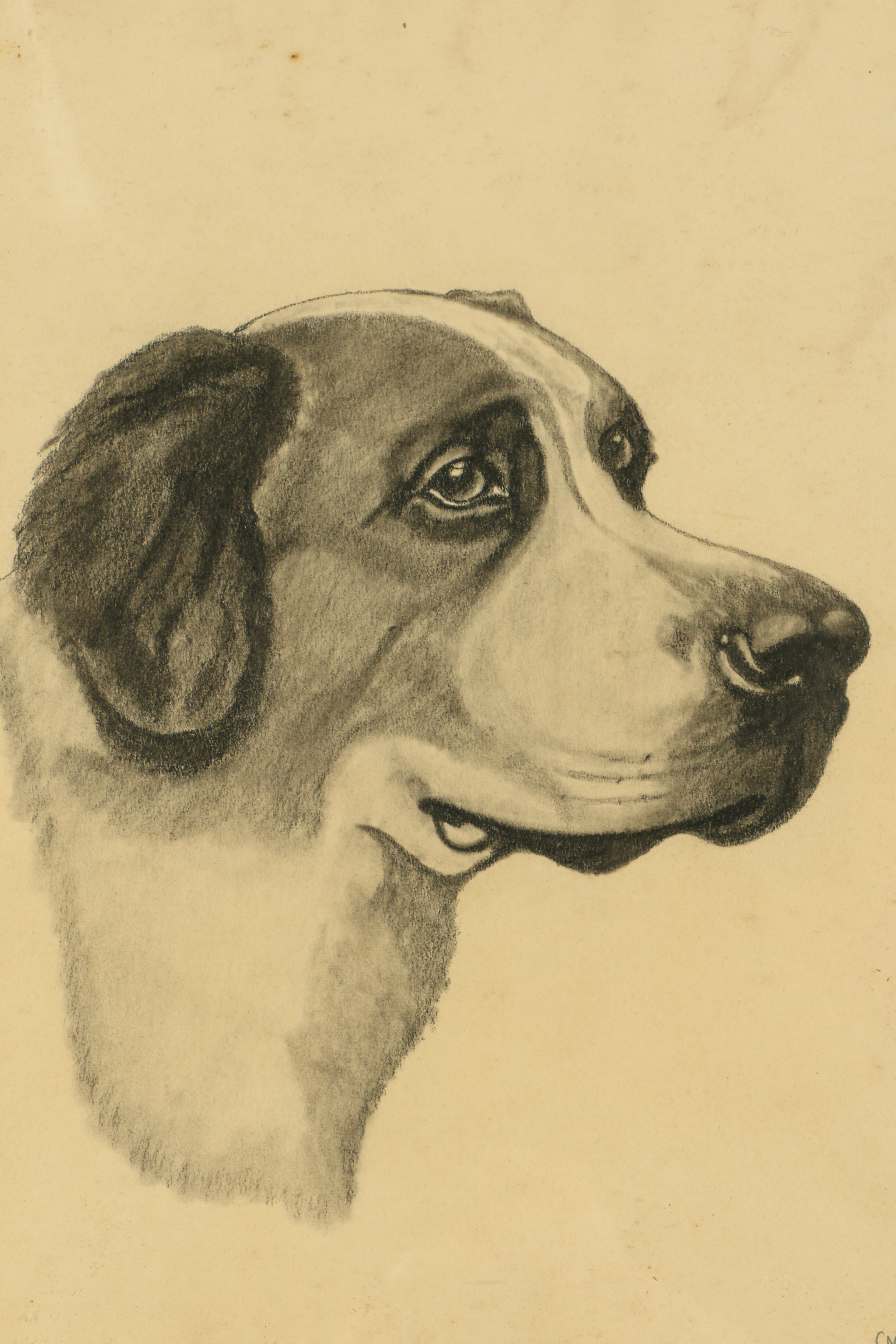 Early 20th Century Graphite Drawing