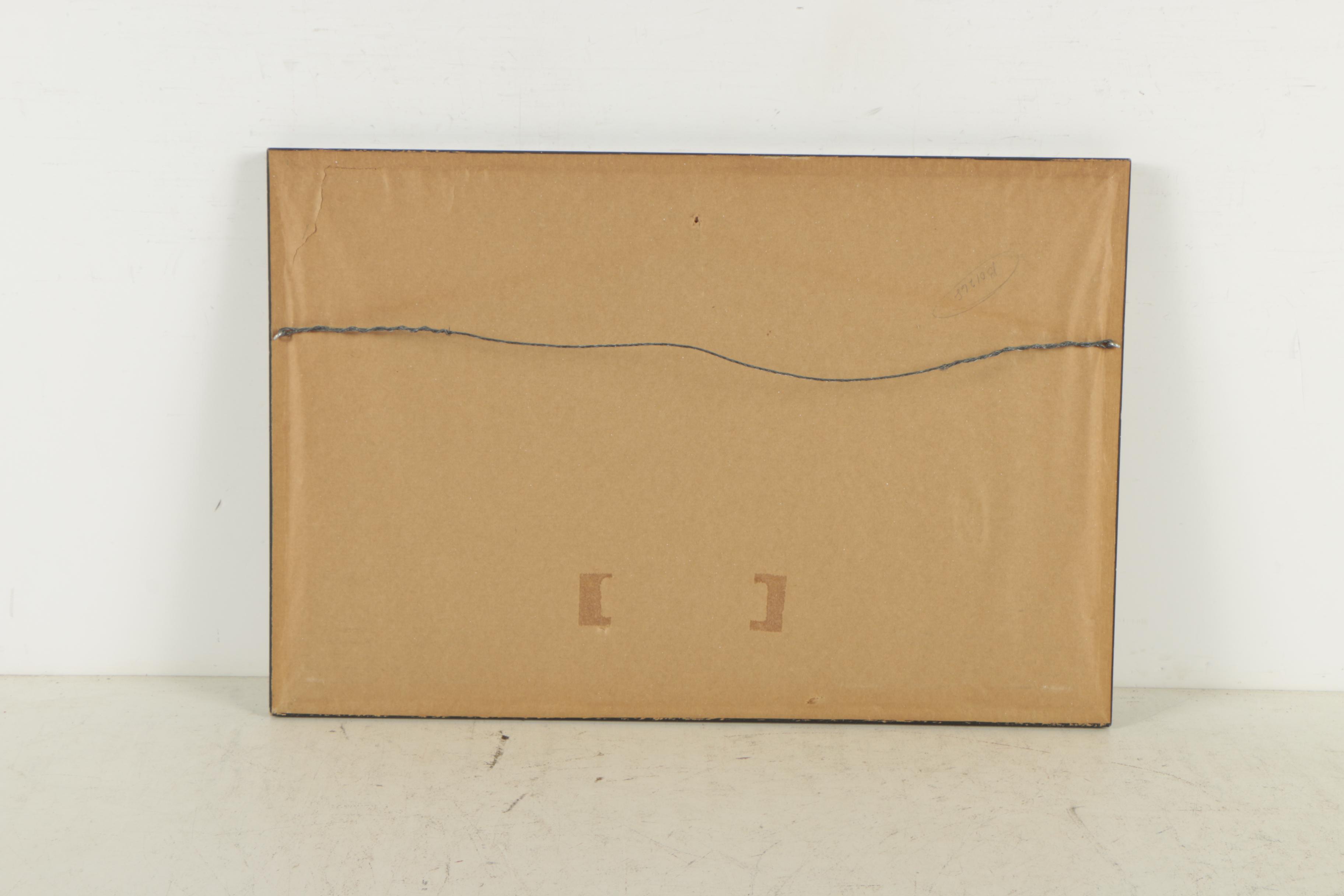 Offset Lithograph After John James Audubon "Trumpeter Swan"