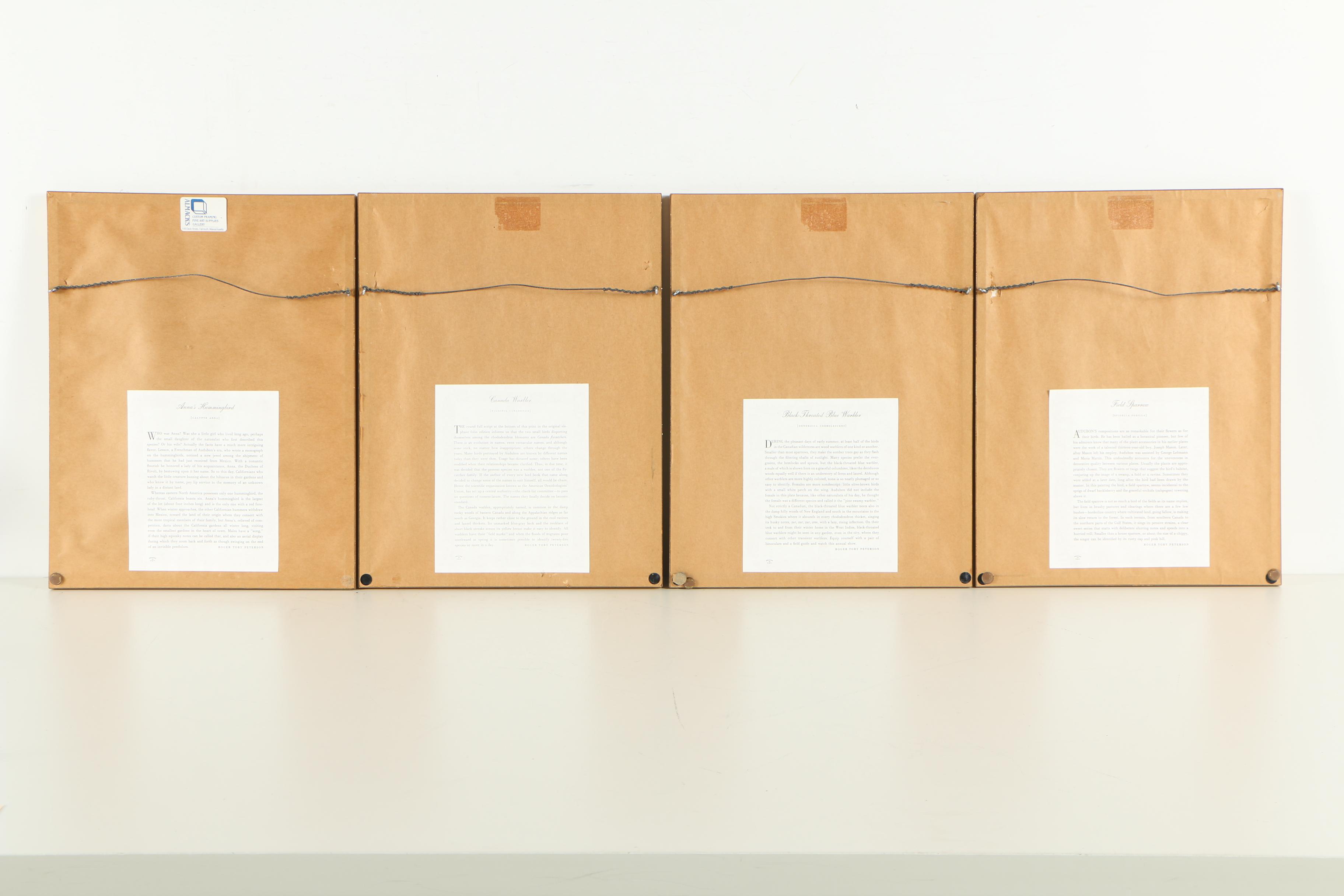 Offset Lithograph After John James Audubon of Birds