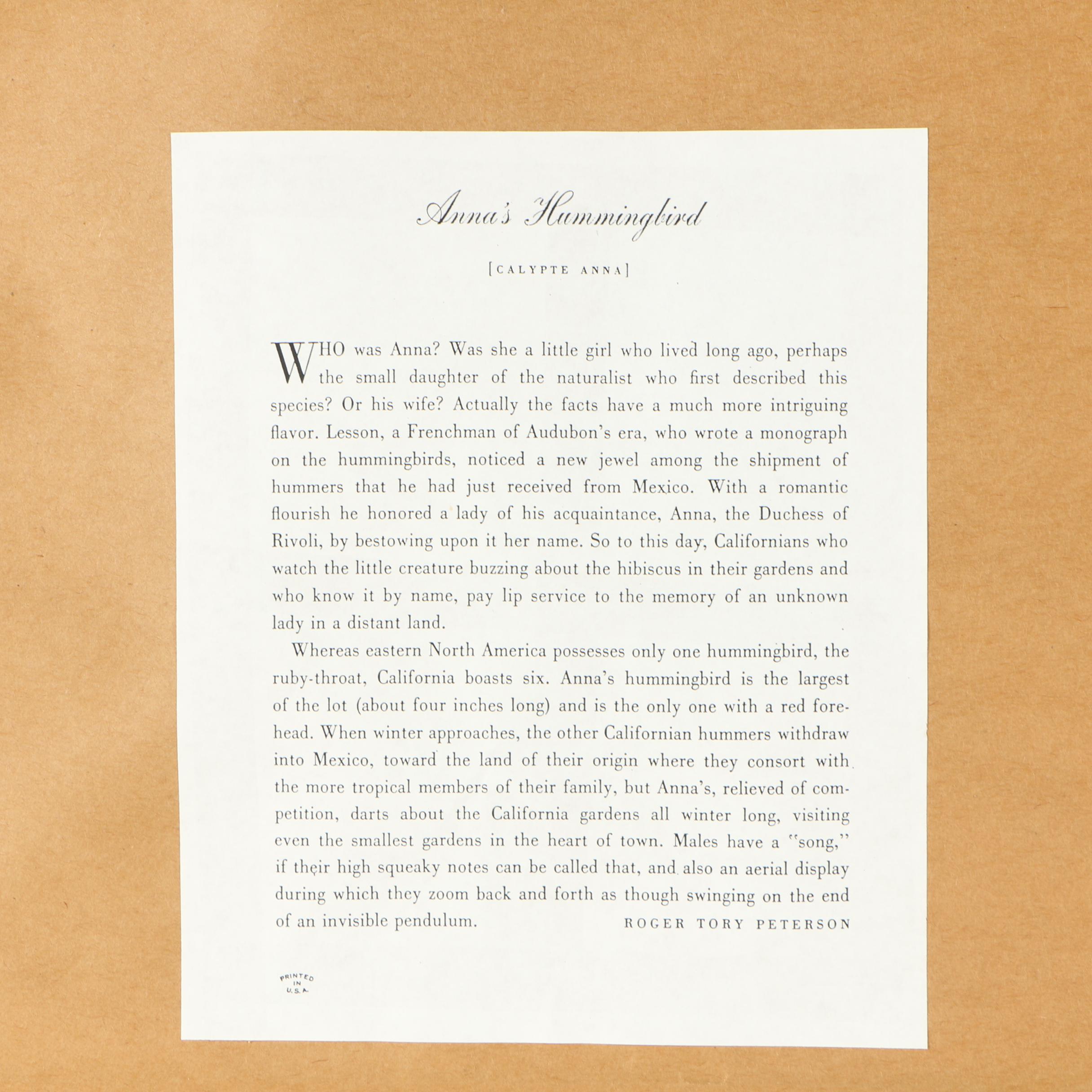 Offset Lithograph After John James Audubon of Birds