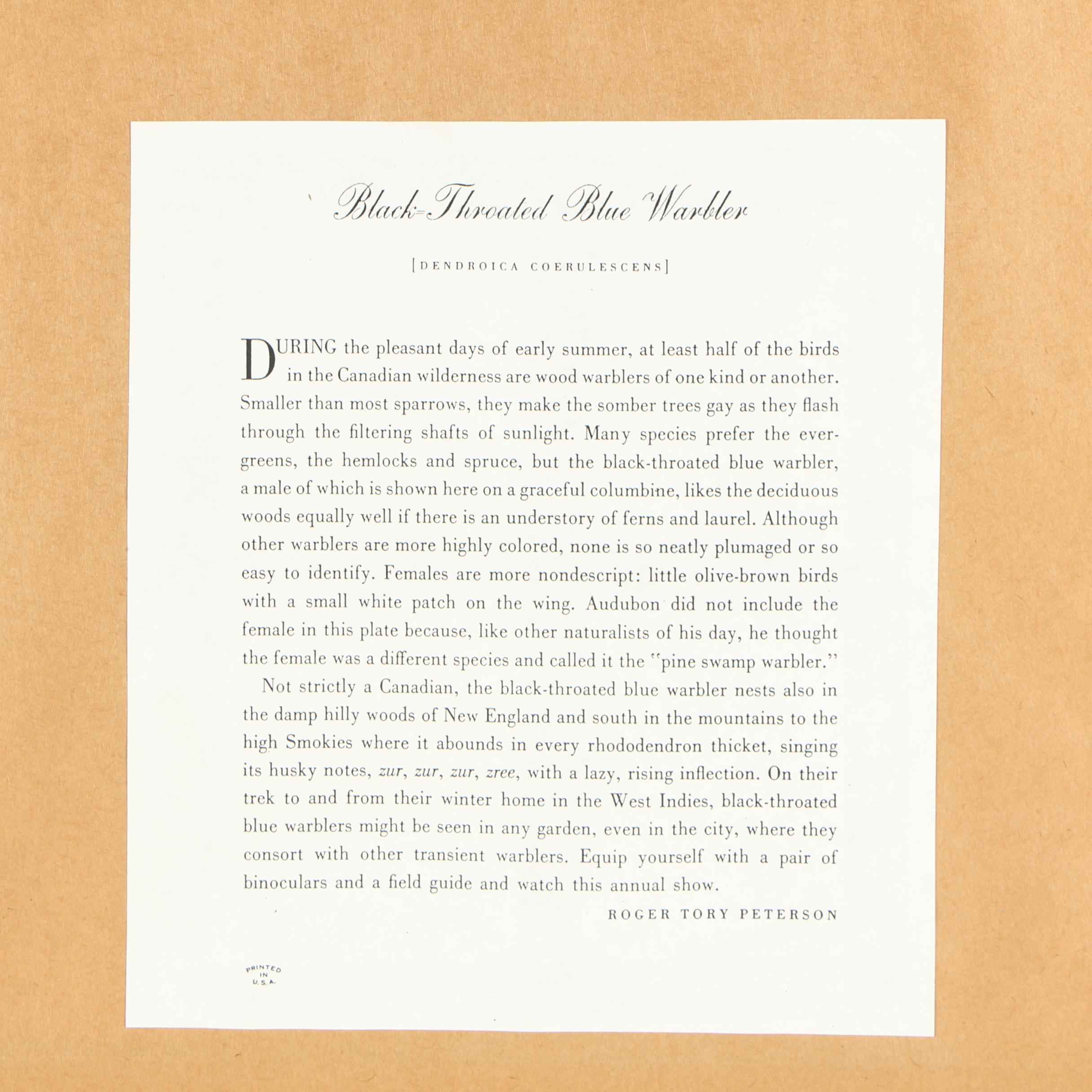 Offset Lithograph After John James Audubon of Birds