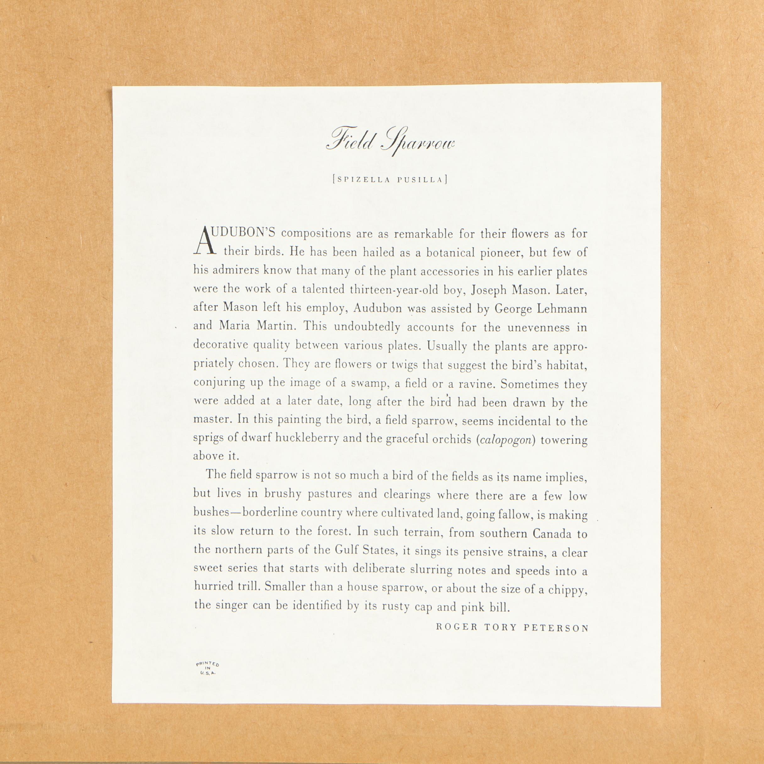 Offset Lithograph After John James Audubon of Birds