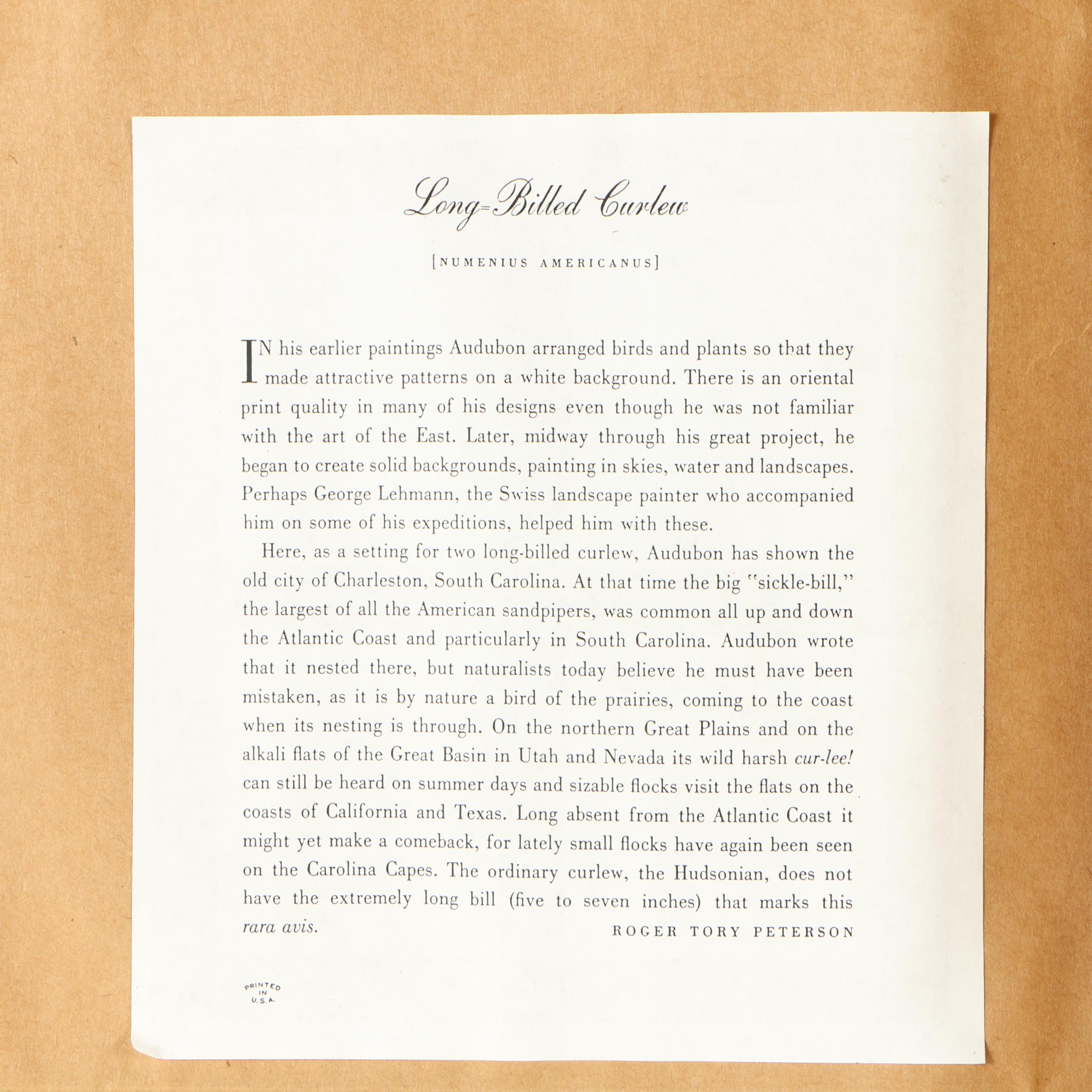 Offset Lithographs of Birds