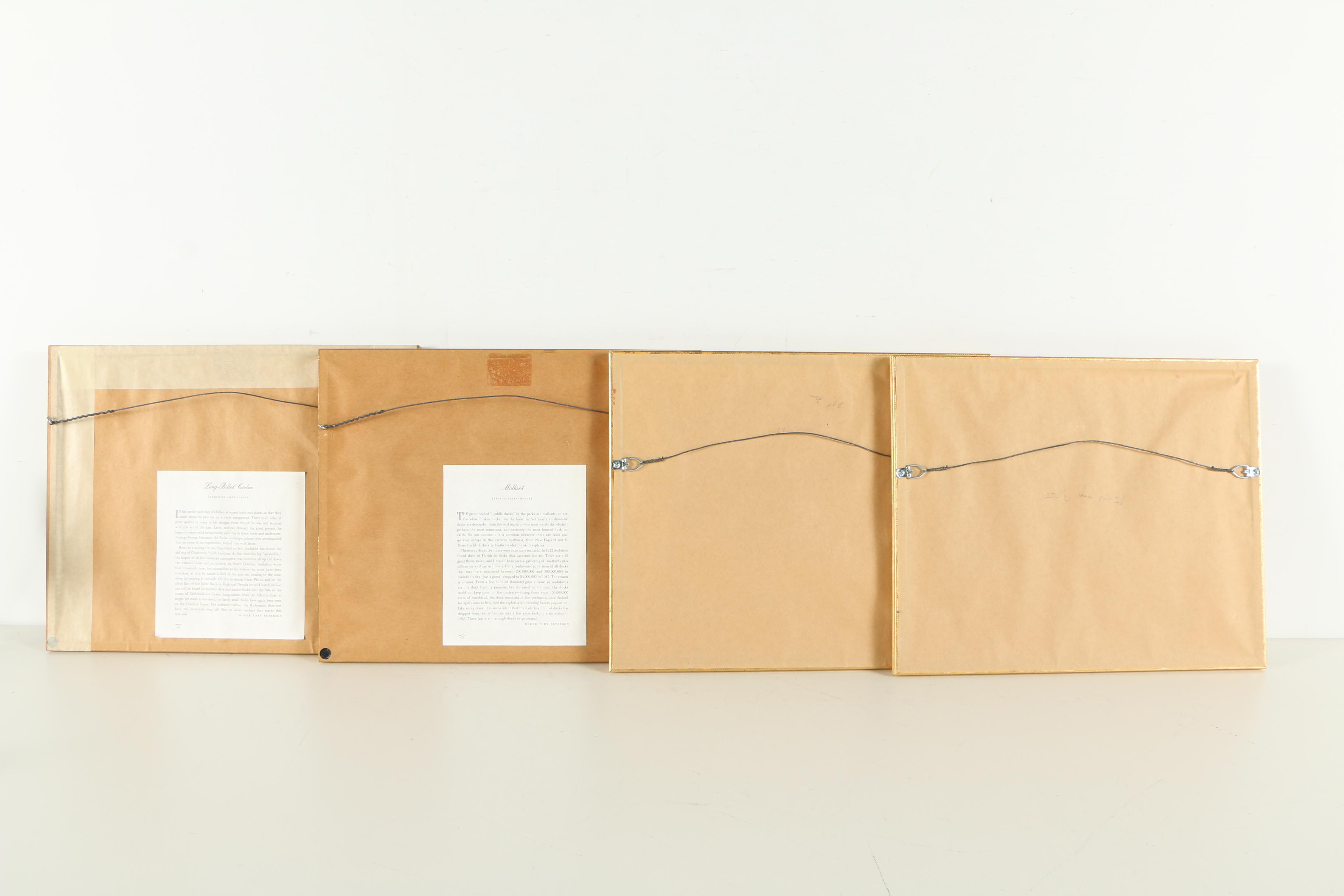 Offset Lithographs of Birds