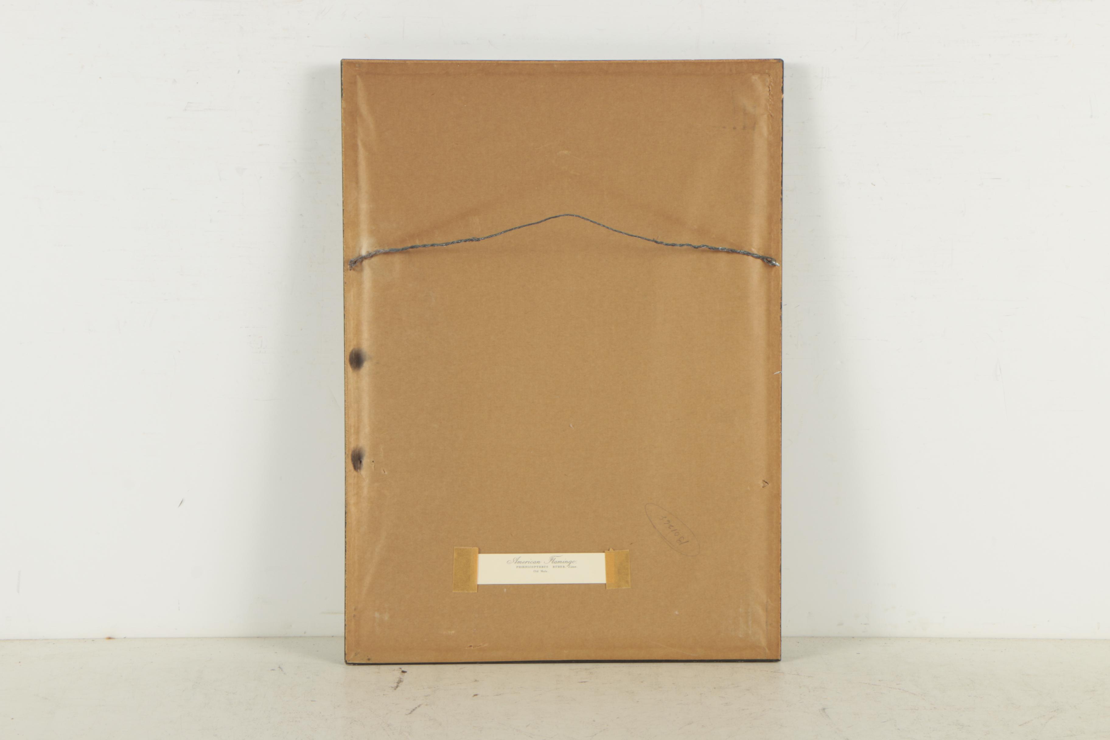 Offset Lithographs After John Audubon "Arctic Tern" and "American Flamingo"