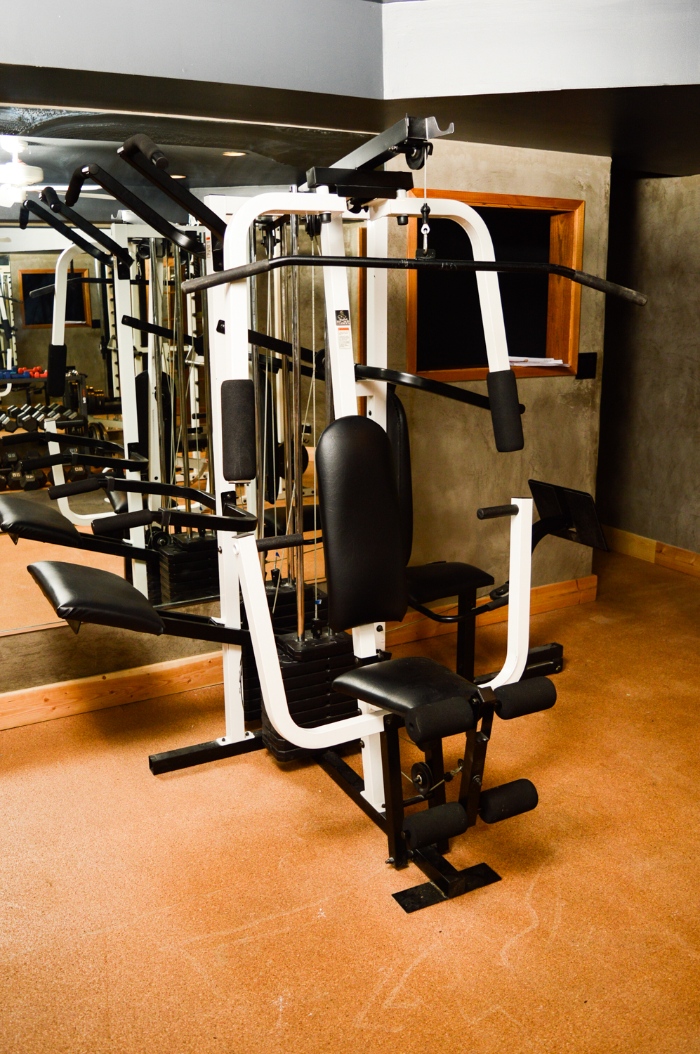 Weider Fitness Home Gym System