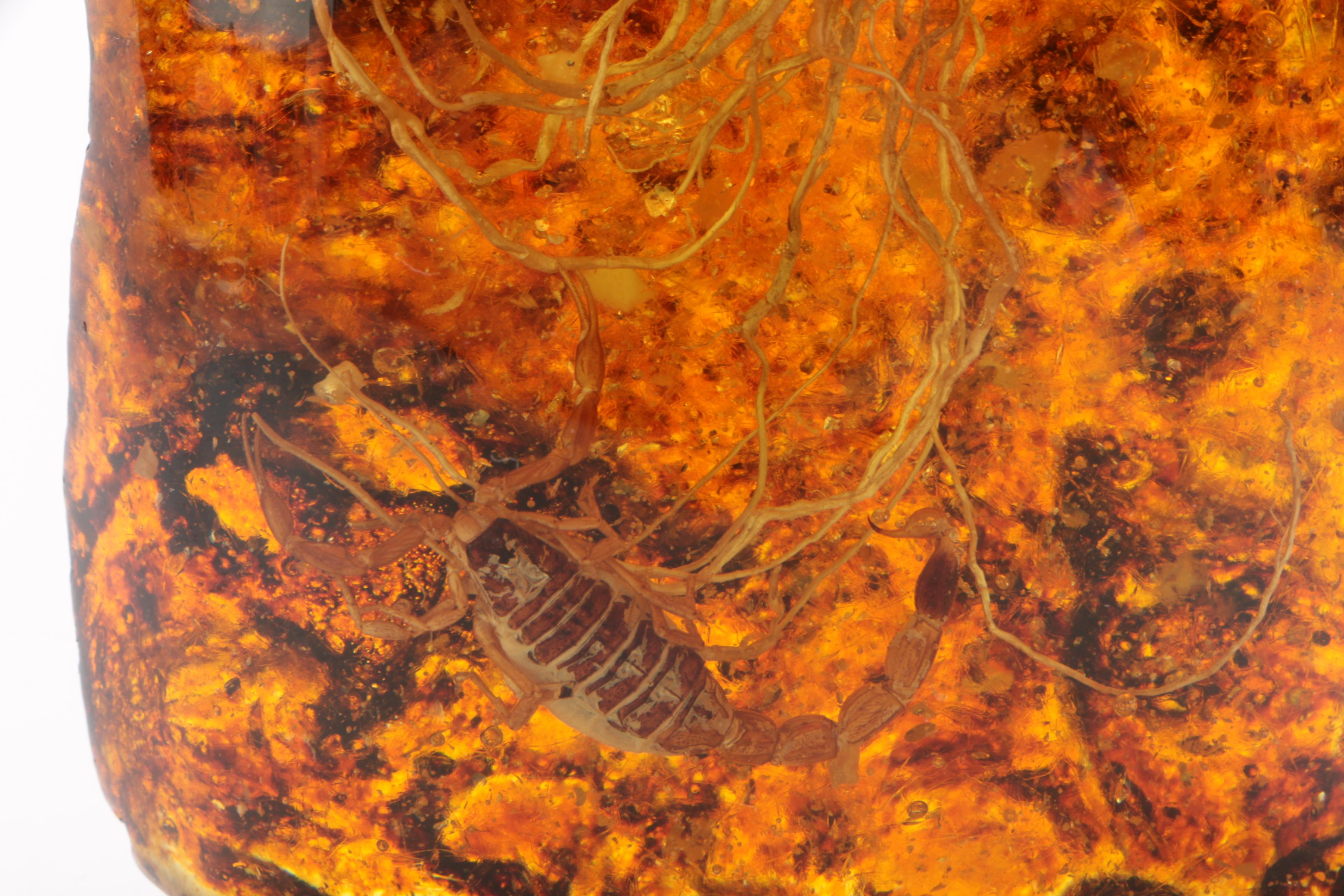 Faux Plastic Amber Fossil with Encapsulated Scorpion