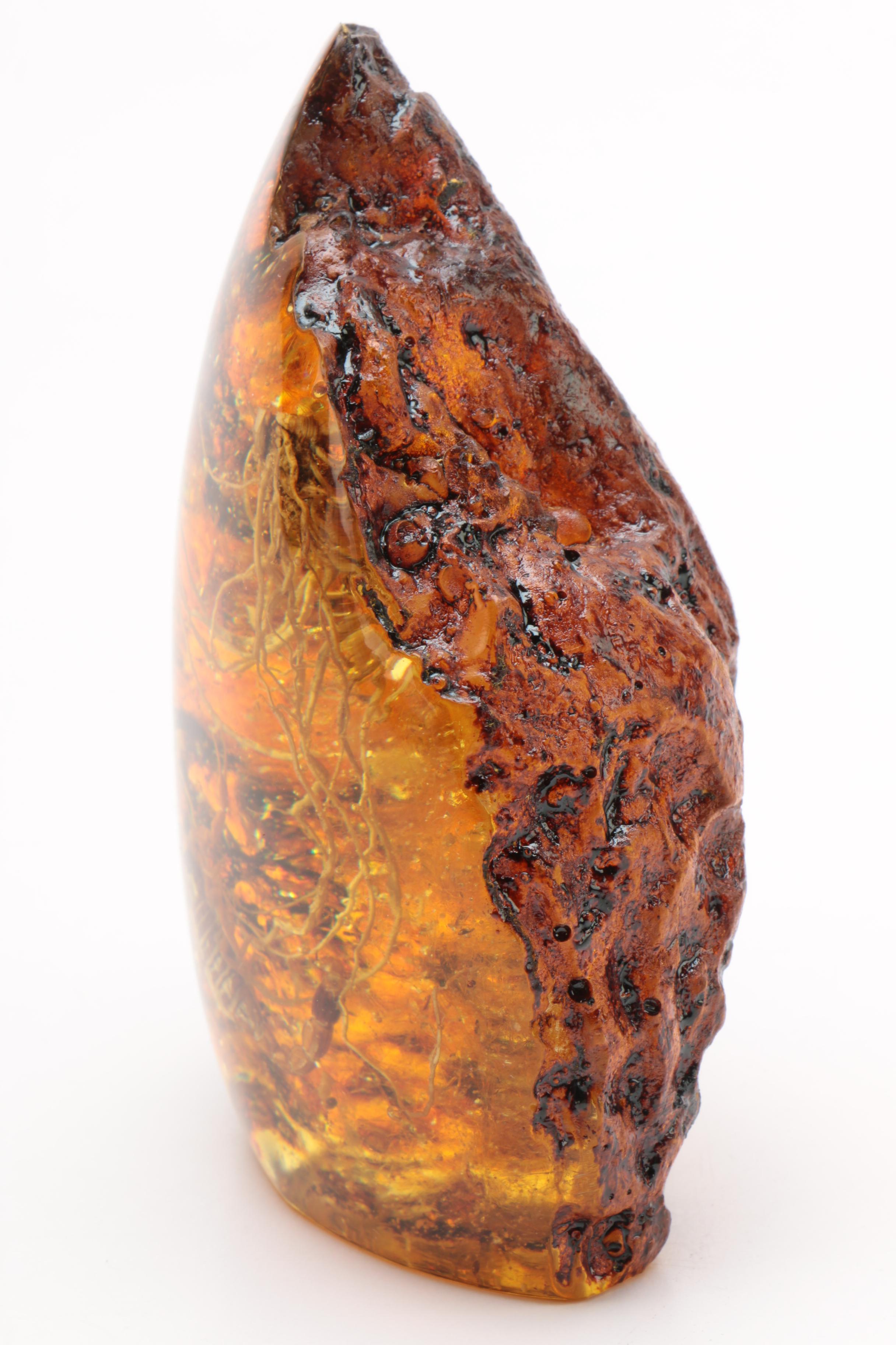 Faux Plastic Amber Fossil with Encapsulated Scorpion