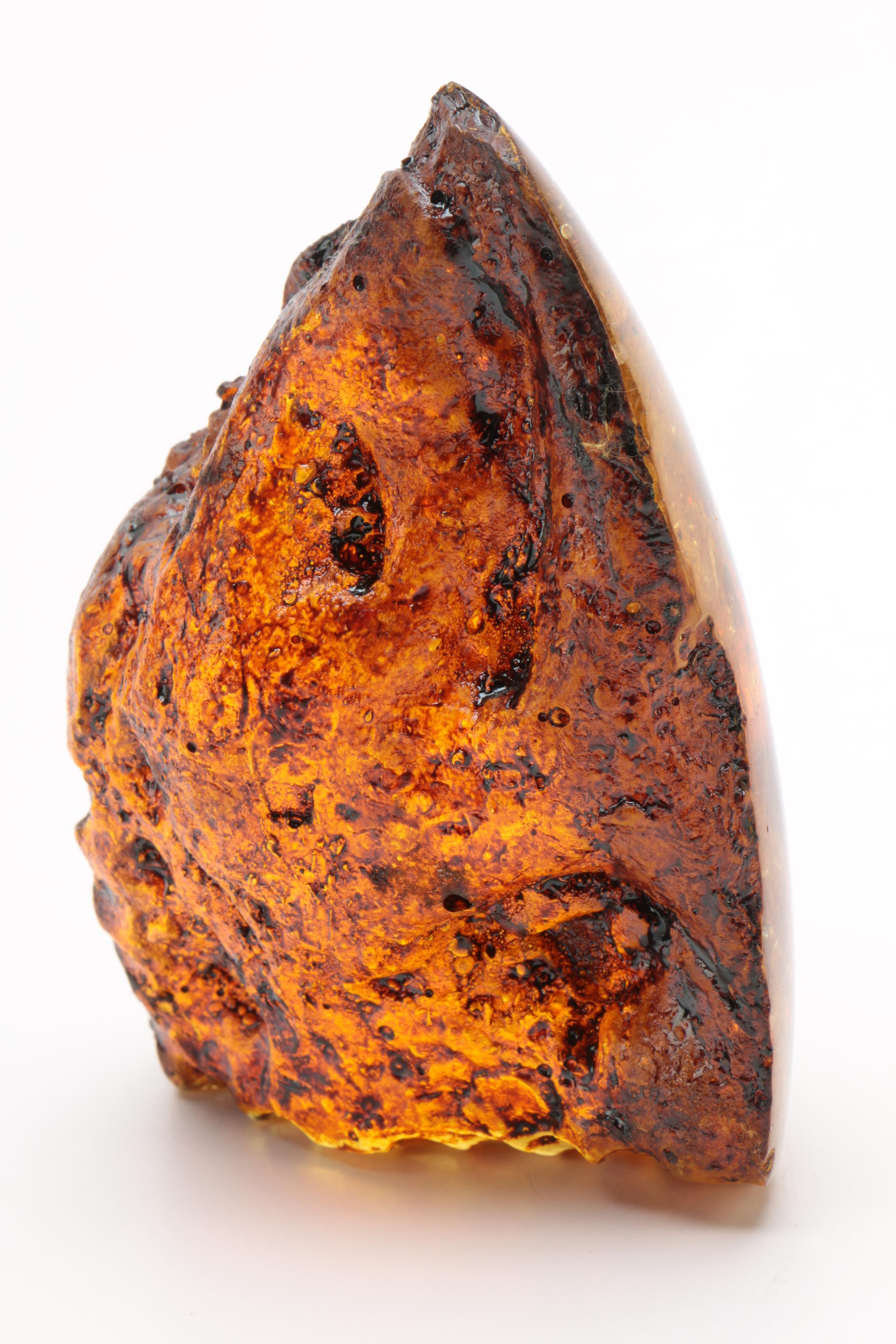 Faux Plastic Amber Fossil with Encapsulated Scorpion