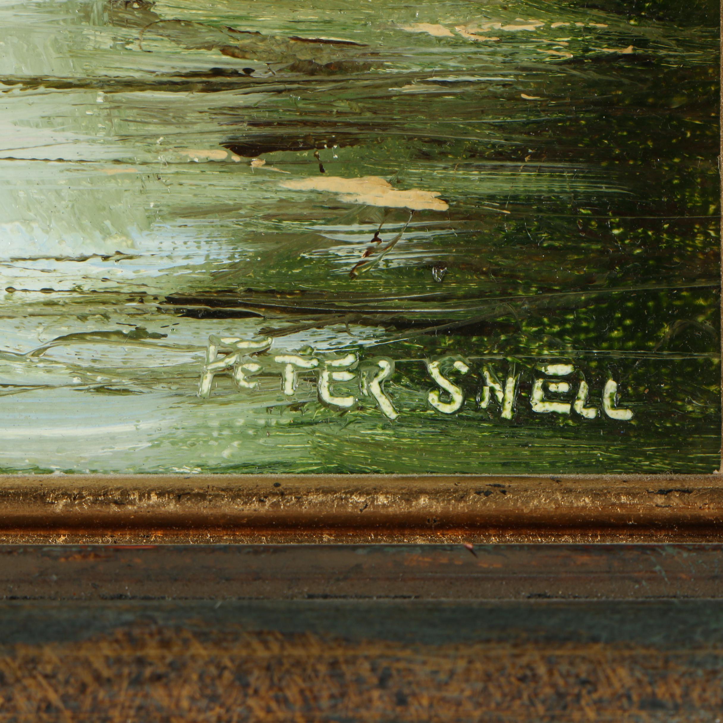 Peter Snell Landscape Oil Paintings
