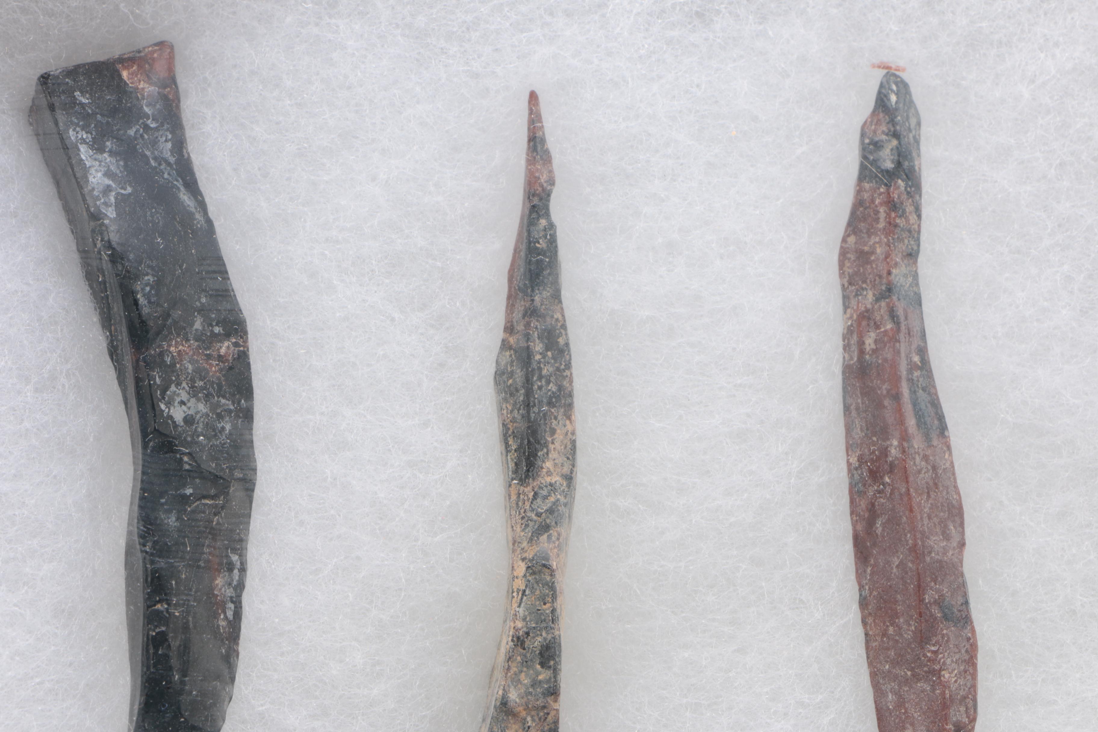 Obsidian Specimens In Display Box