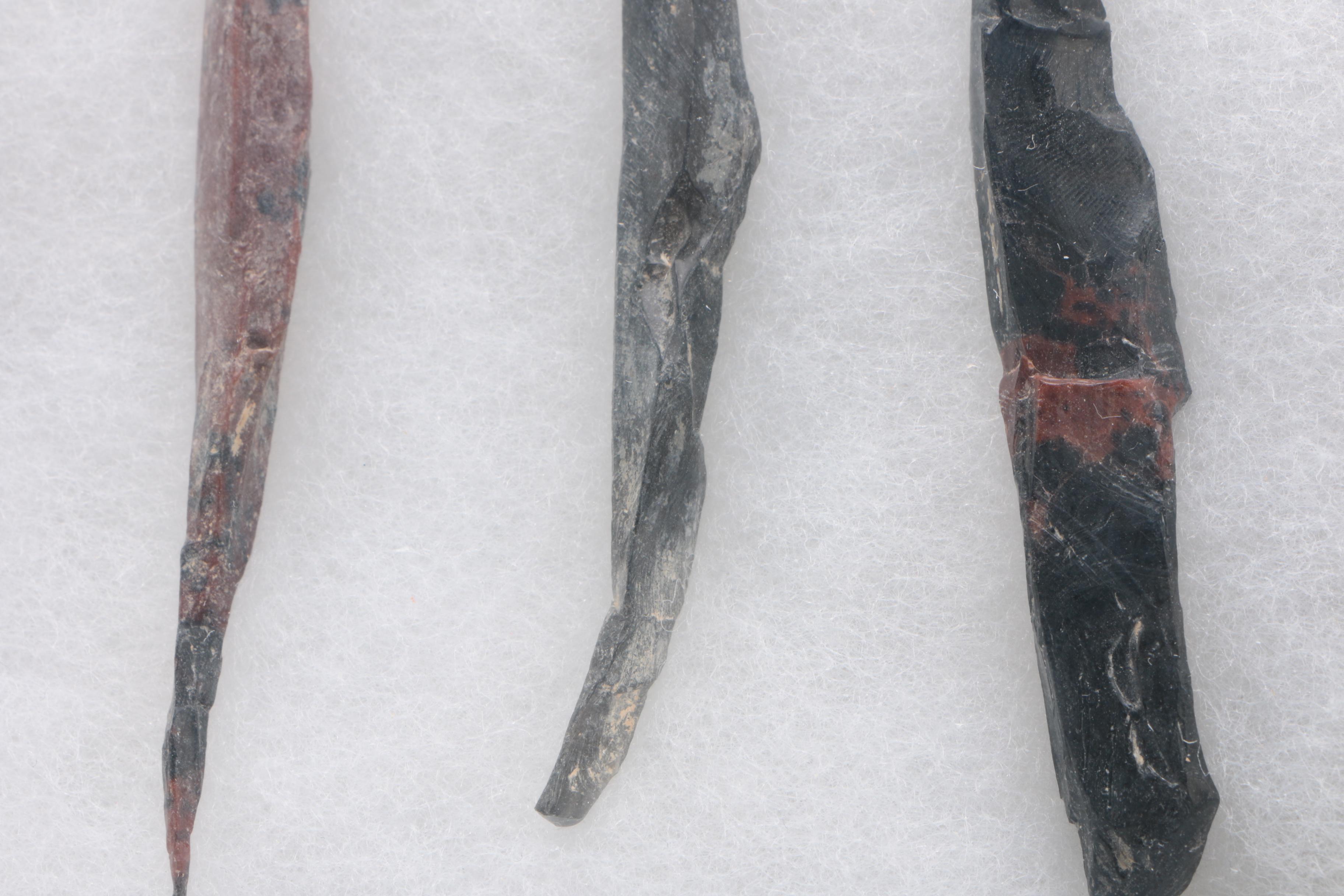 Obsidian Specimens In Display Box