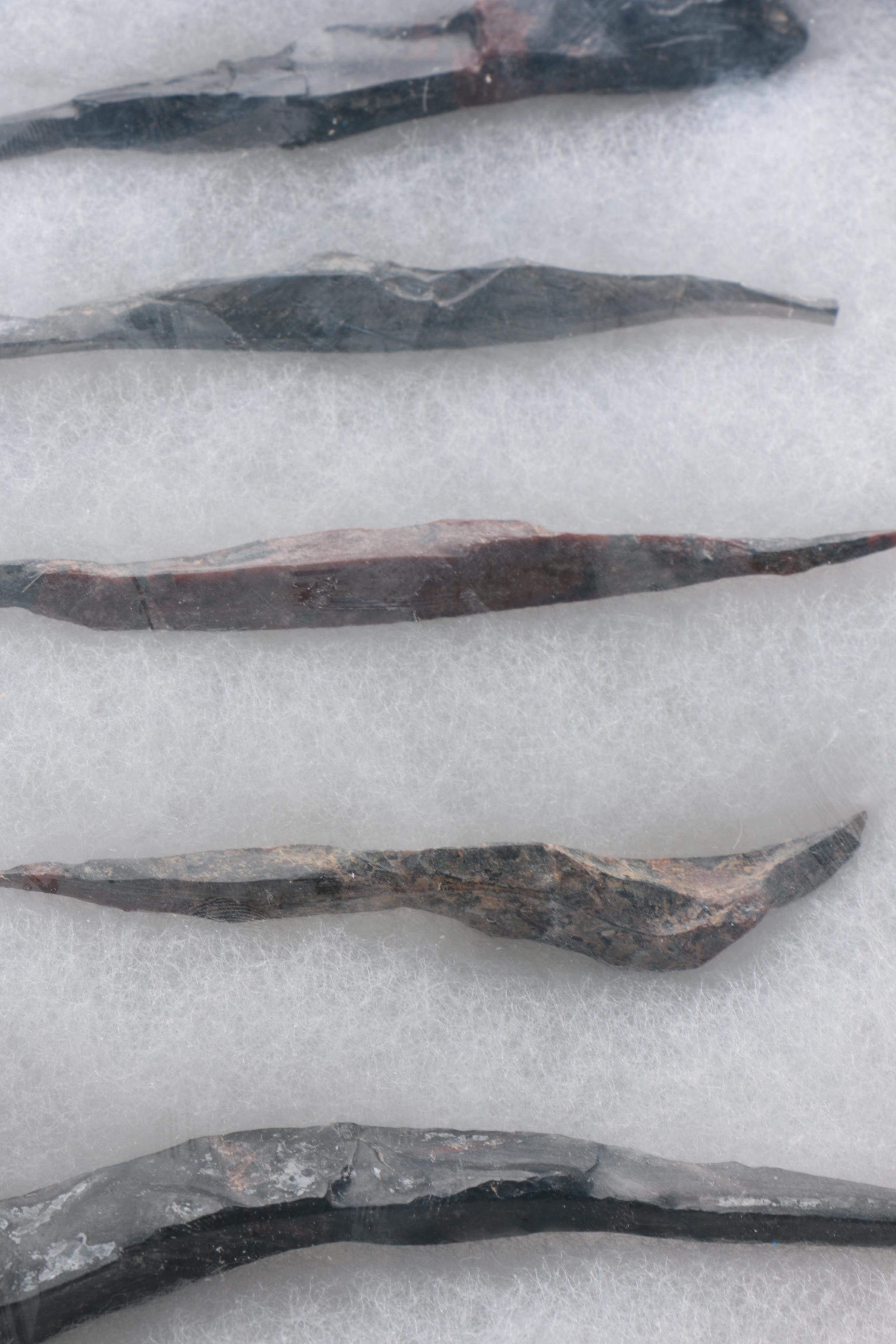 Obsidian Specimens In Display Box