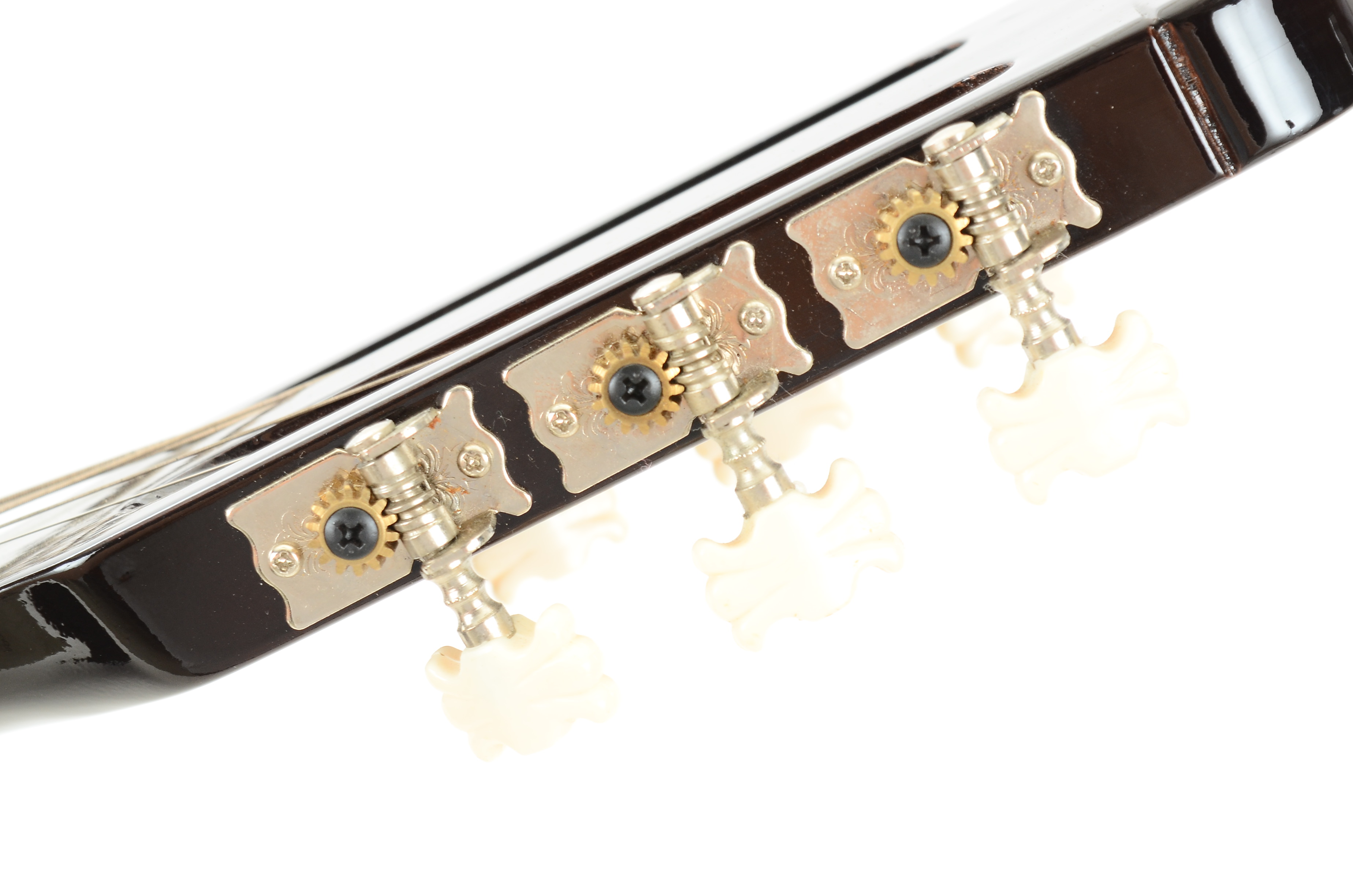 Roy Clark Signature Classical Guitar