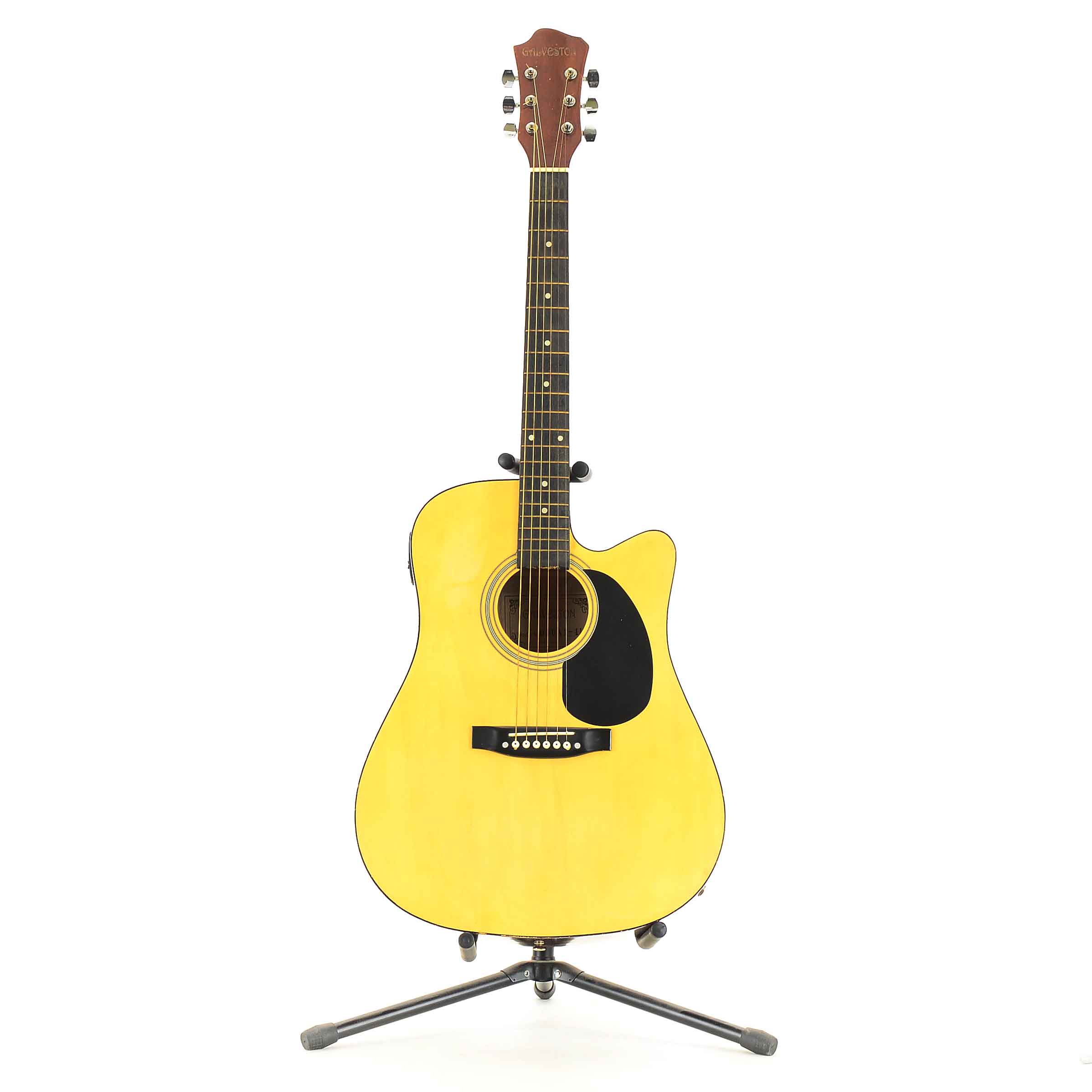 Galveston Model 030A1-41 Acoustic Guitar and Case