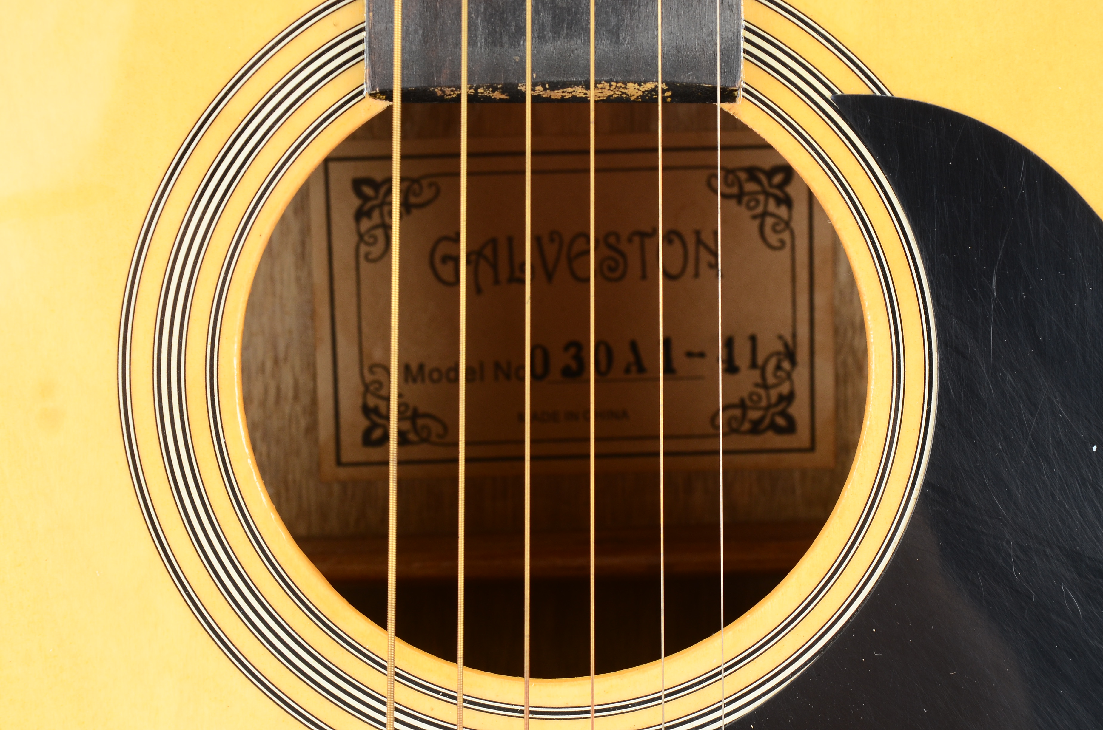 Galveston Model 030A1-41 Acoustic Guitar and Case