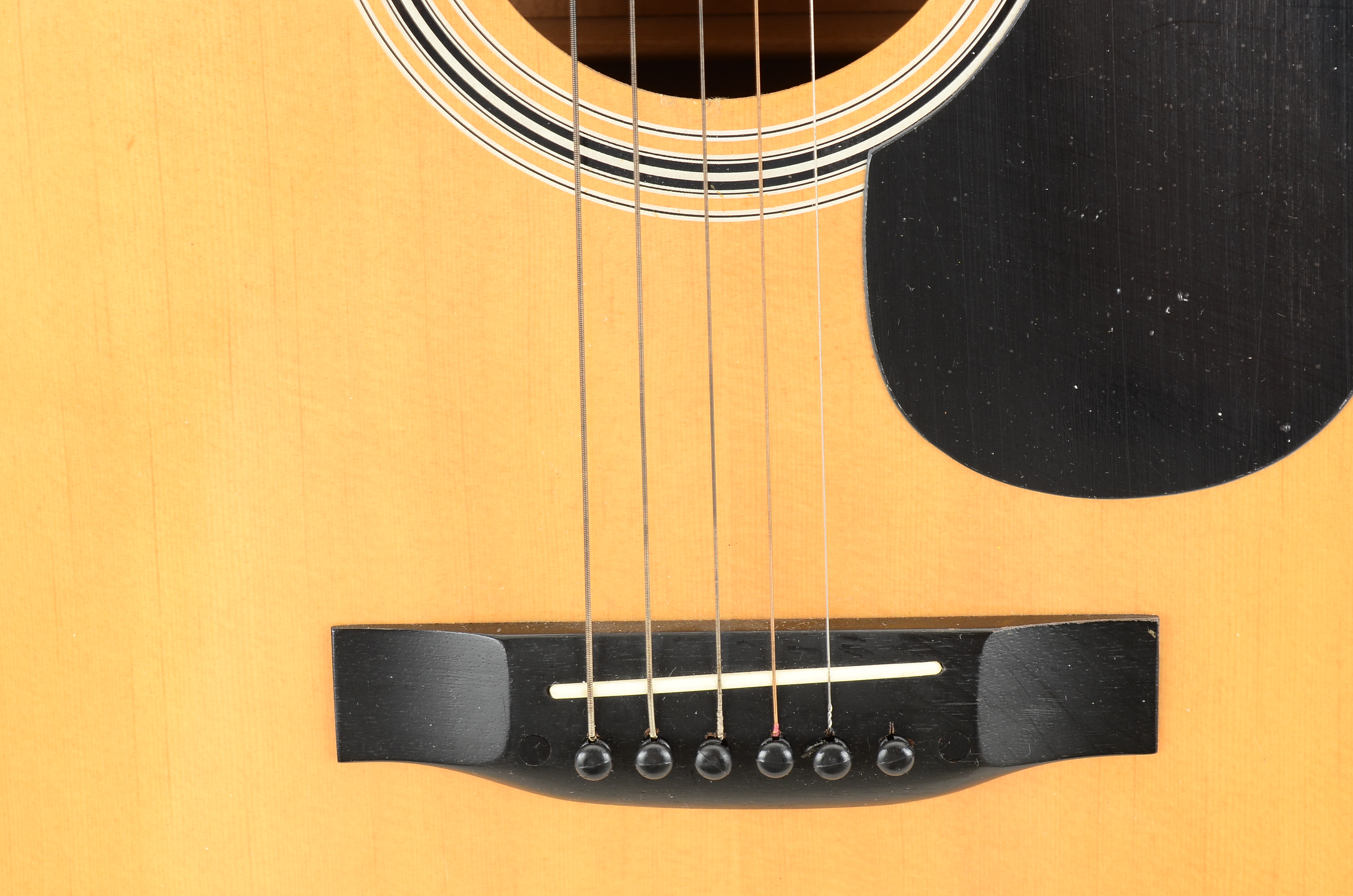 Dixon DG-5 Acoustic Guitar with Case