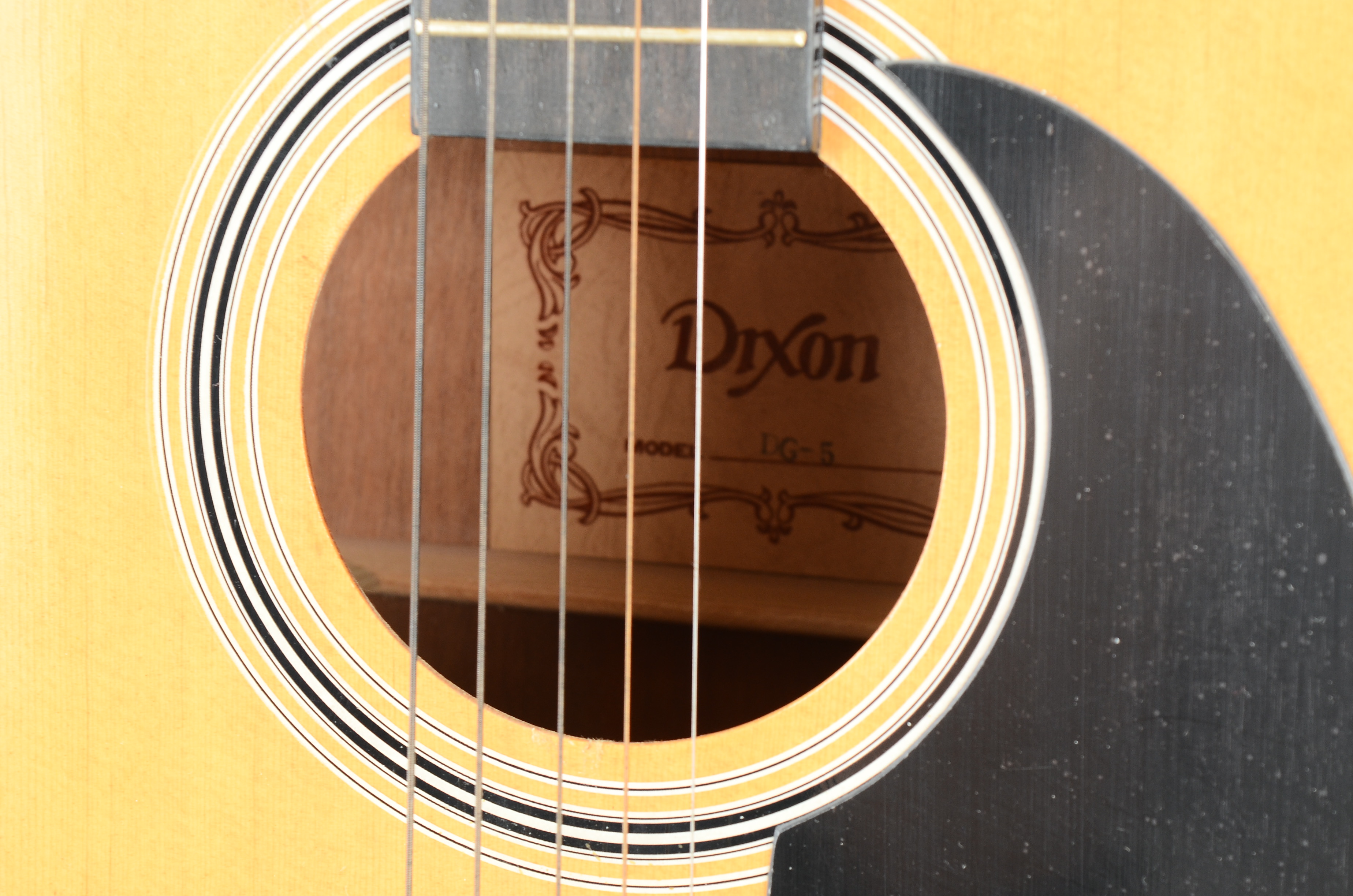 Dixon DG-5 Acoustic Guitar with Case