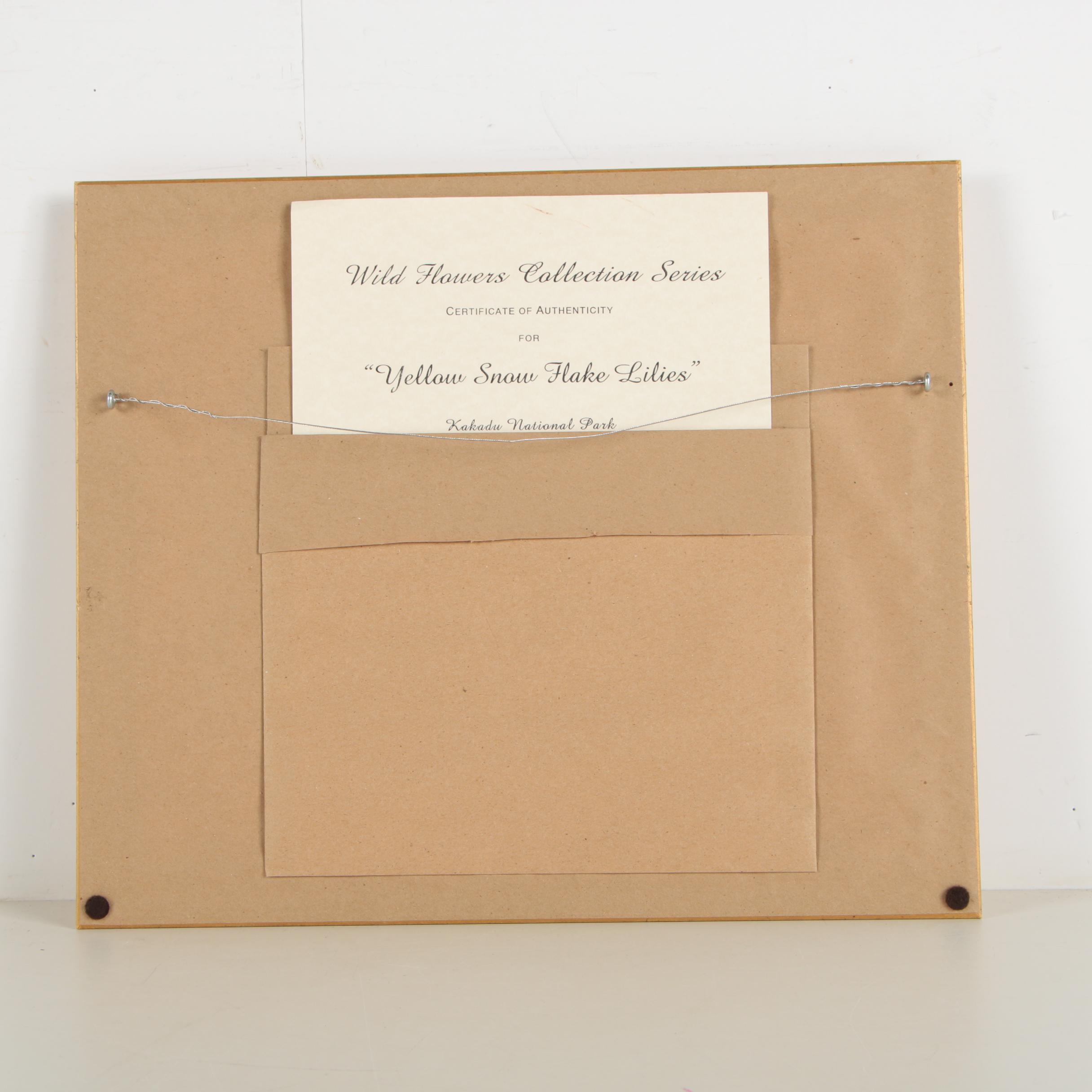 Judith Lundstrom Roberts Limited Edition Giclee Print "Yellow Snow Flake Lilies"