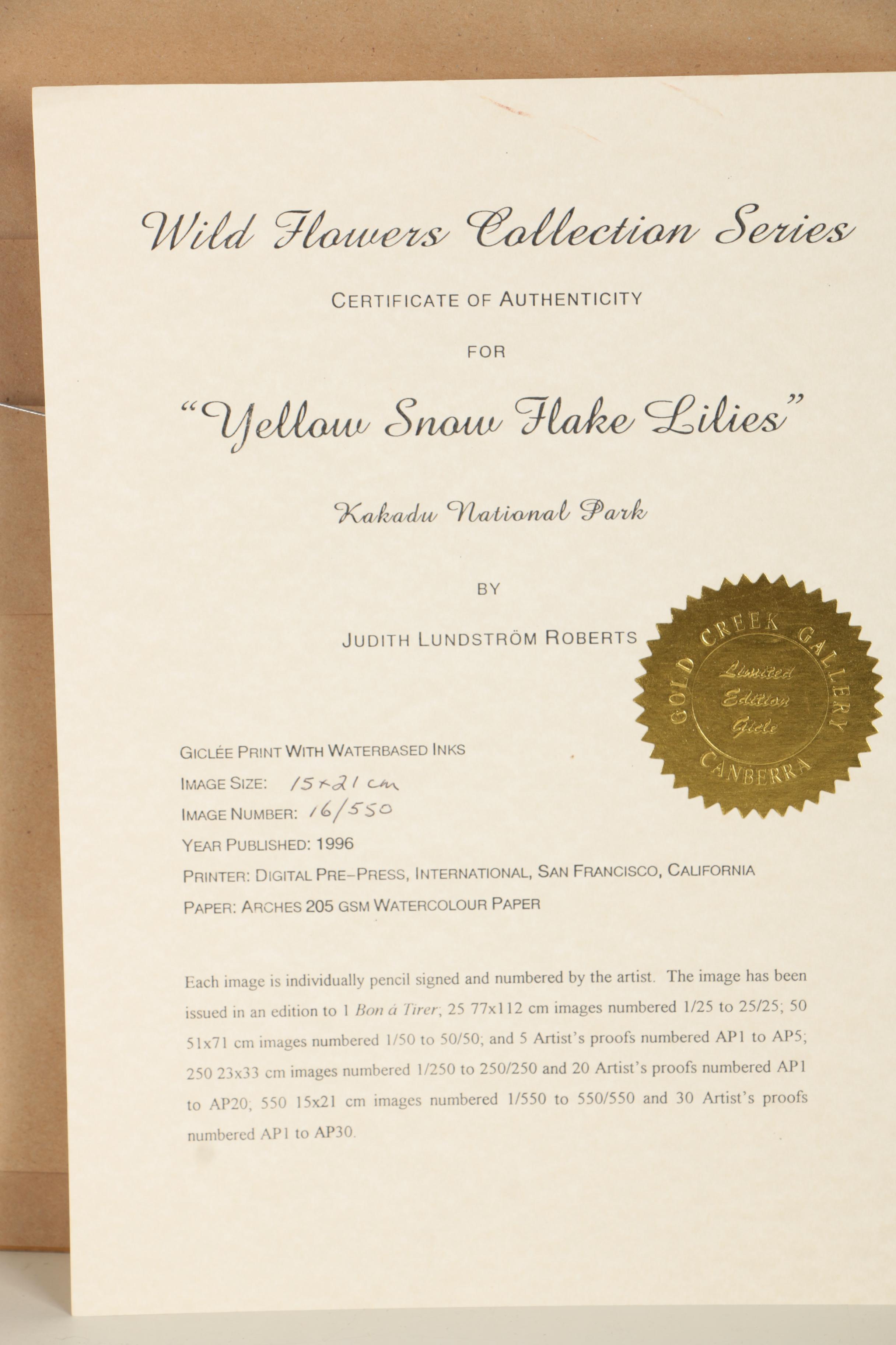 Judith Lundstrom Roberts Limited Edition Giclee Print "Yellow Snow Flake Lilies"