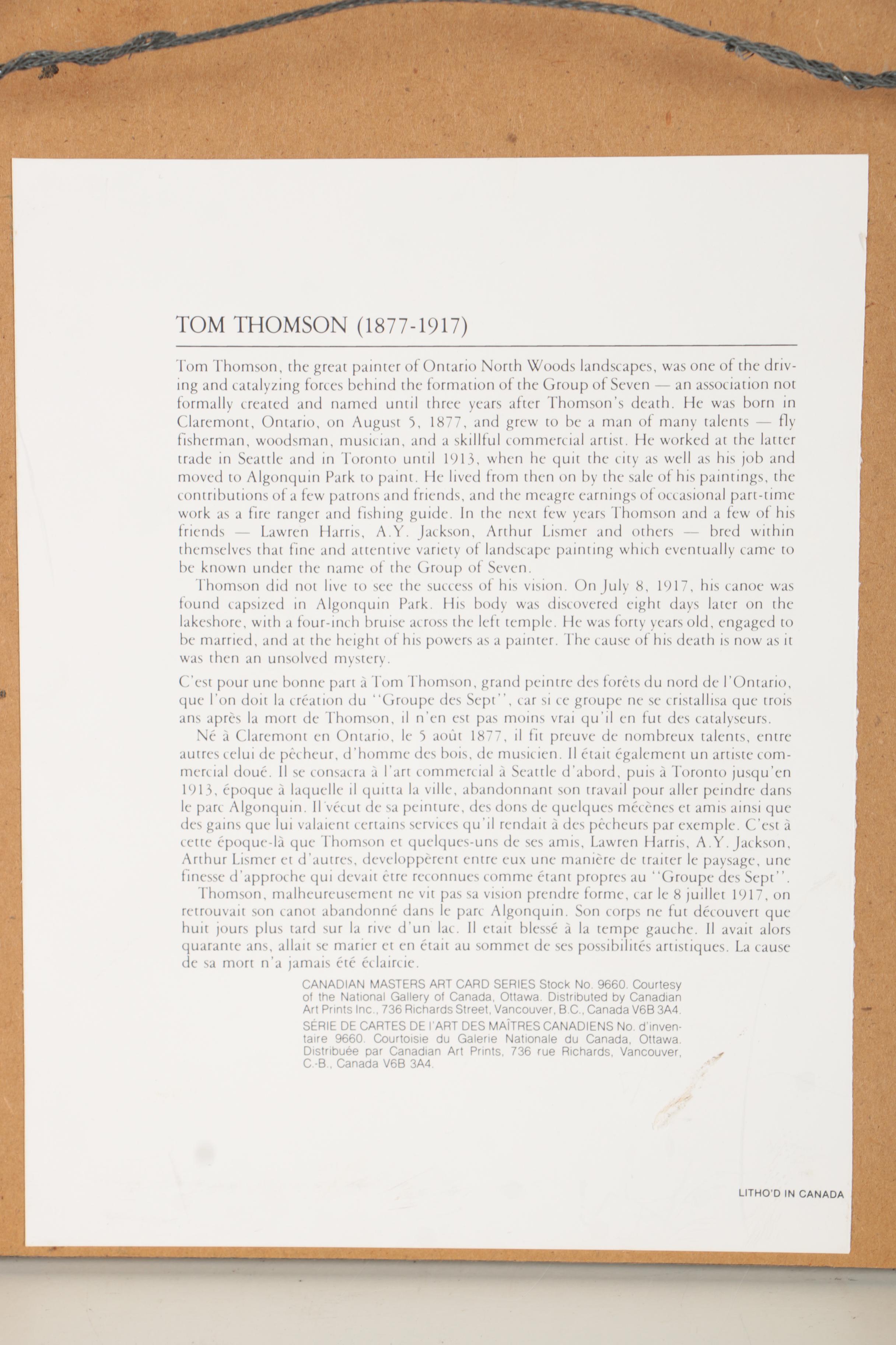 After Tom Thomson Offset Lithograph Print "Northern River"