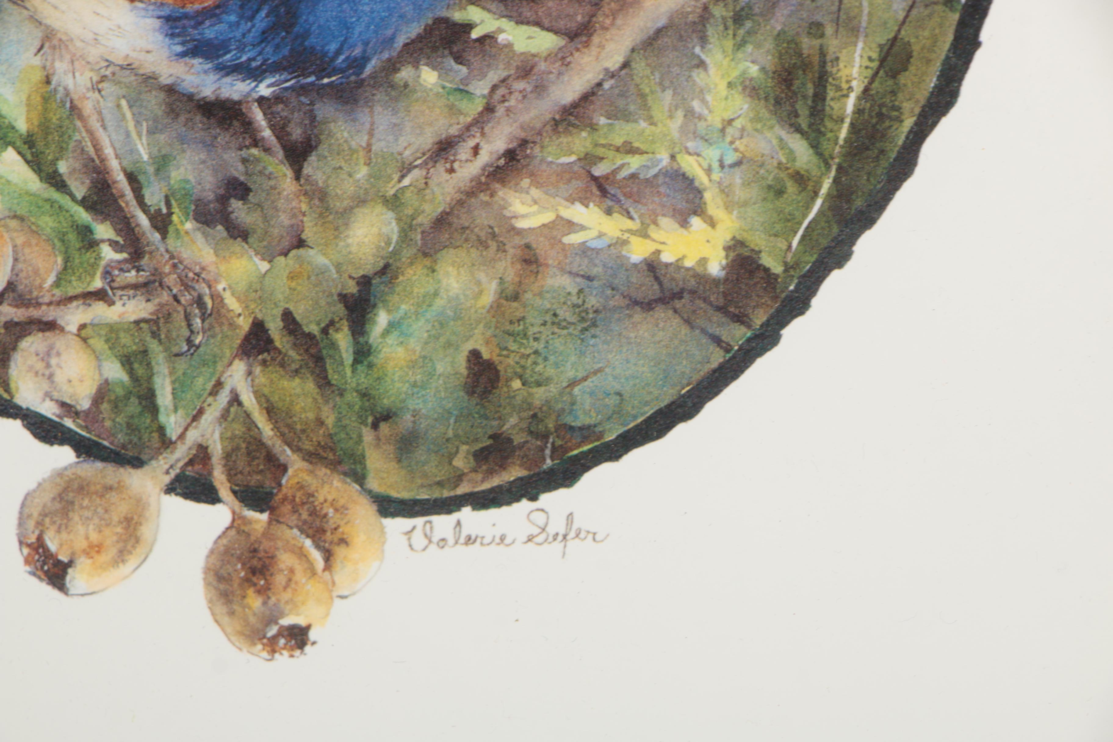 After Valerie Sefer Offset Lithograph Print "Red-Winged Fairy Wren"