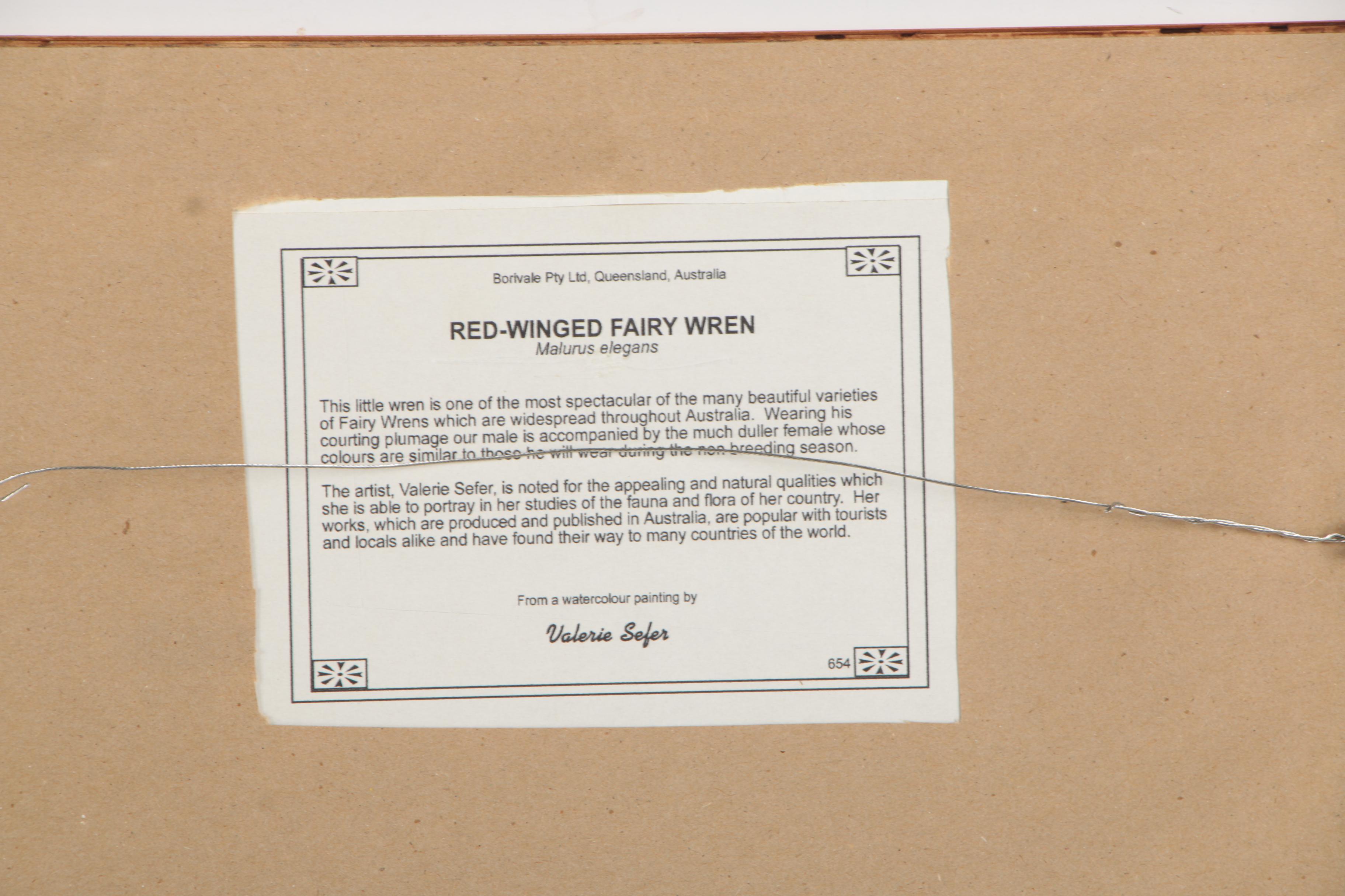 After Valerie Sefer Offset Lithograph Print "Red-Winged Fairy Wren"